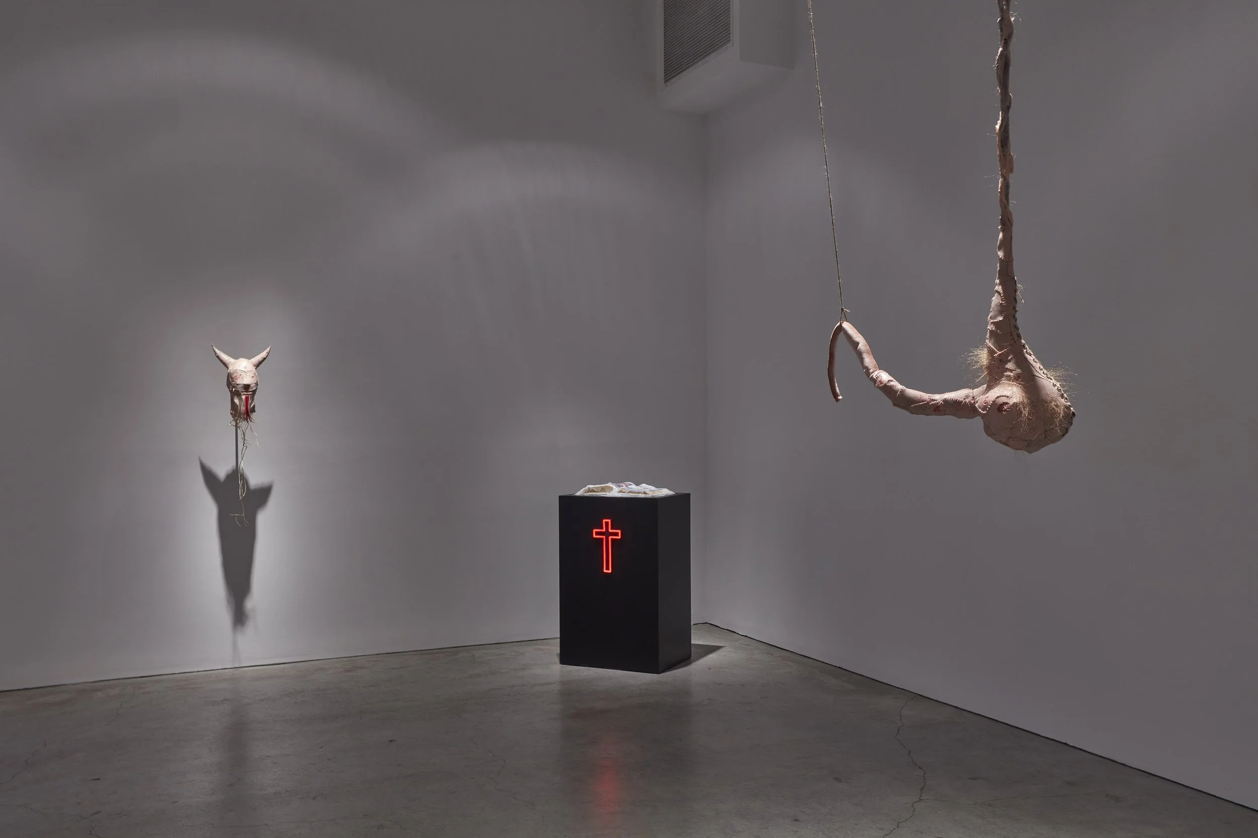 Cobra installation view SMJ 03-2026 03.jpg