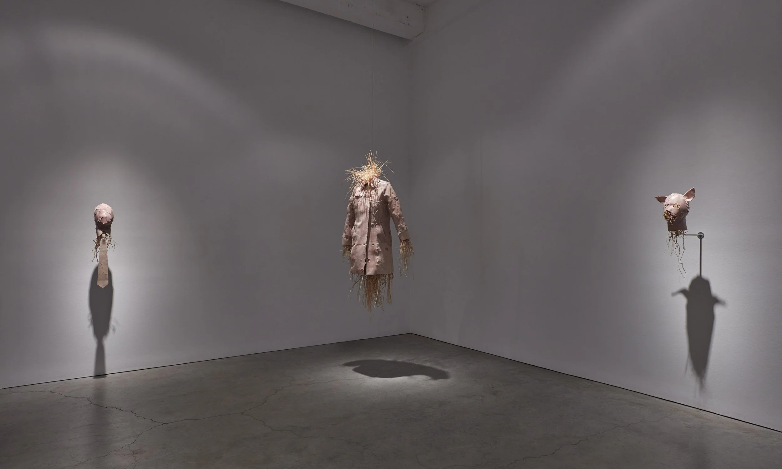 Cobra installation view SMJ 03-2026 06.jpg