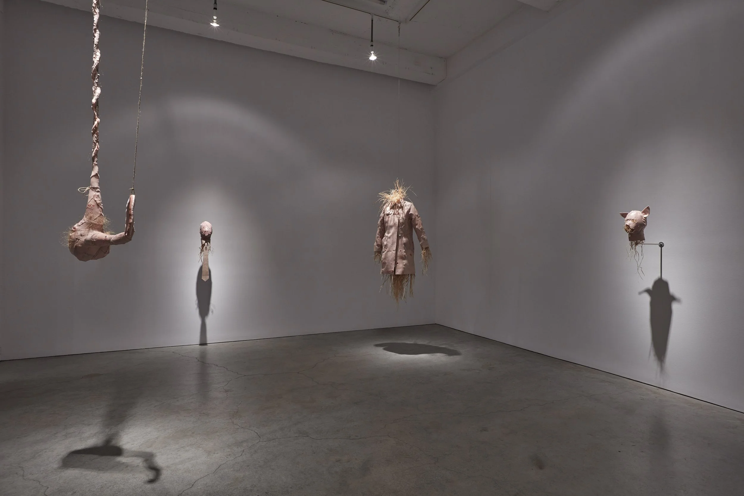 Cobra installation view SMJ 03-2026 07.jpg