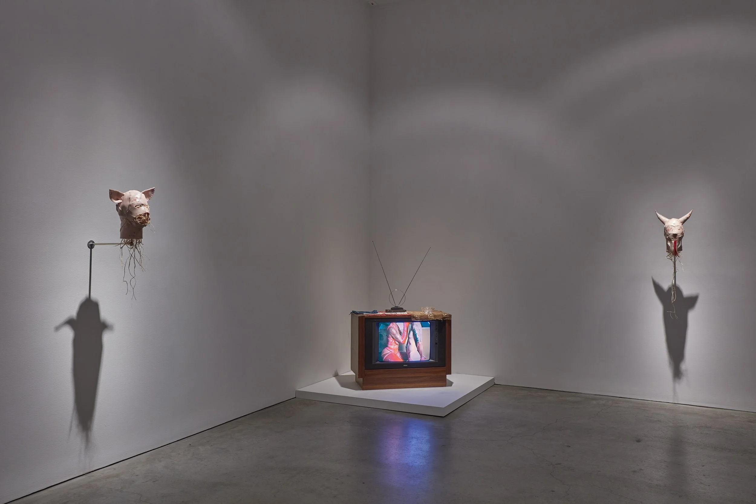 Cobra installation view SMJ 03-2026 05.jpg