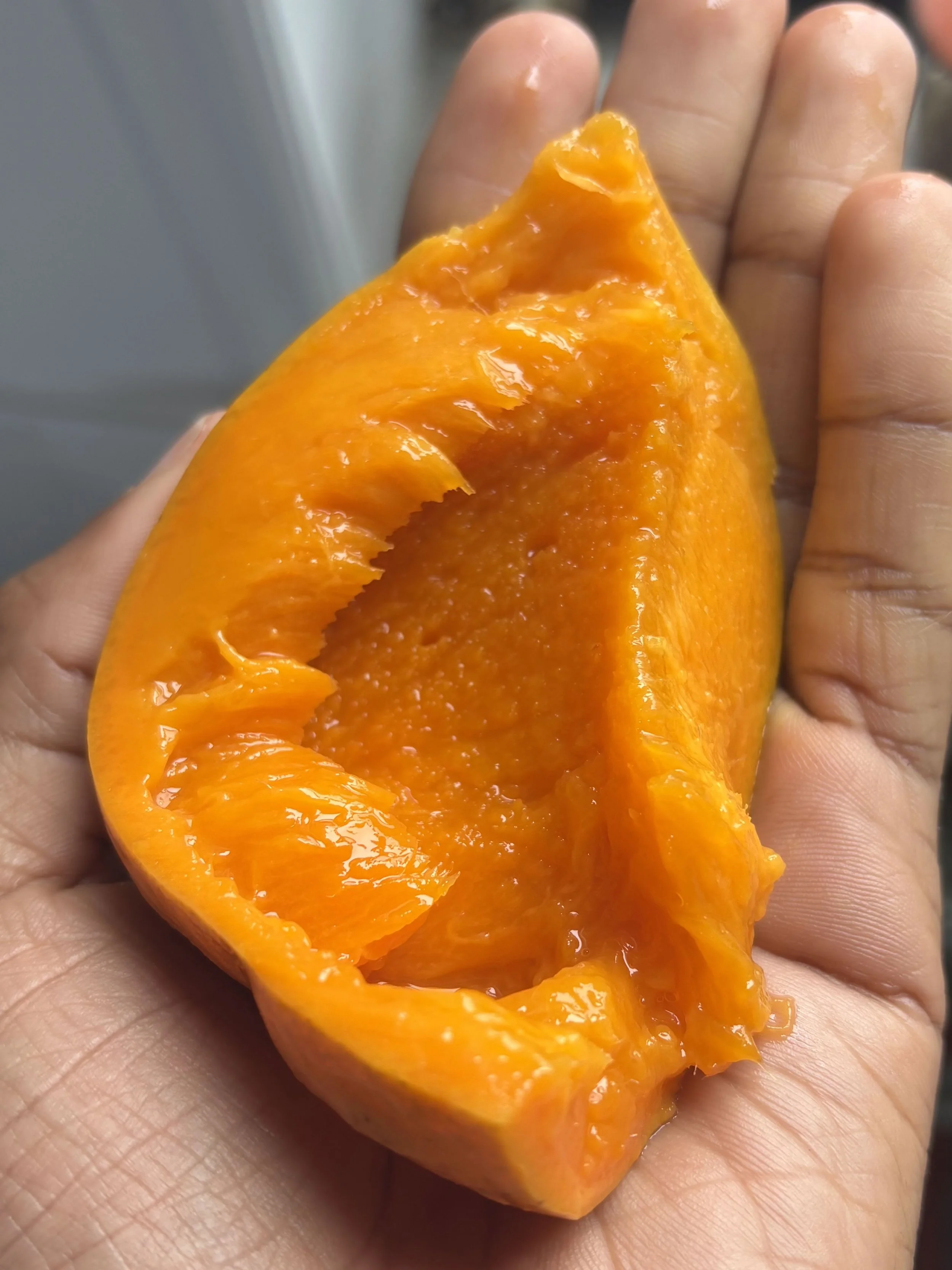 A wet, golden orange mango slice is cradled by the palm of the artist’s hand. Light traces of the mango’s substance appear on the artist’s finger tips. A slither of the artist’s &nbsp;brown skin hovers at the left hand side of the image. 