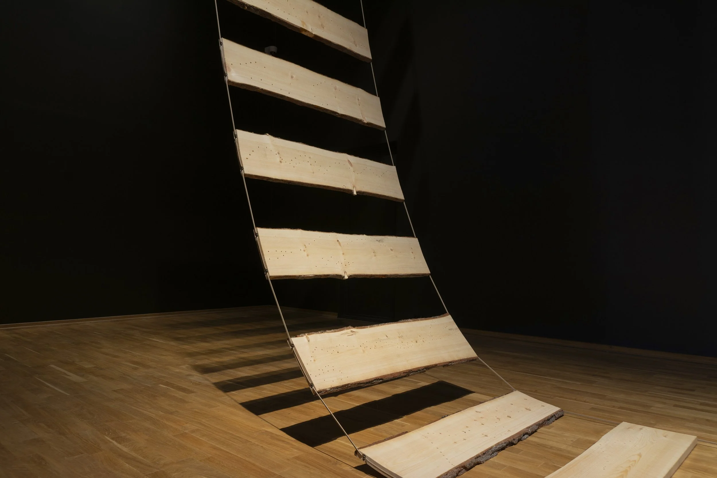 …the sky ladder, 2024