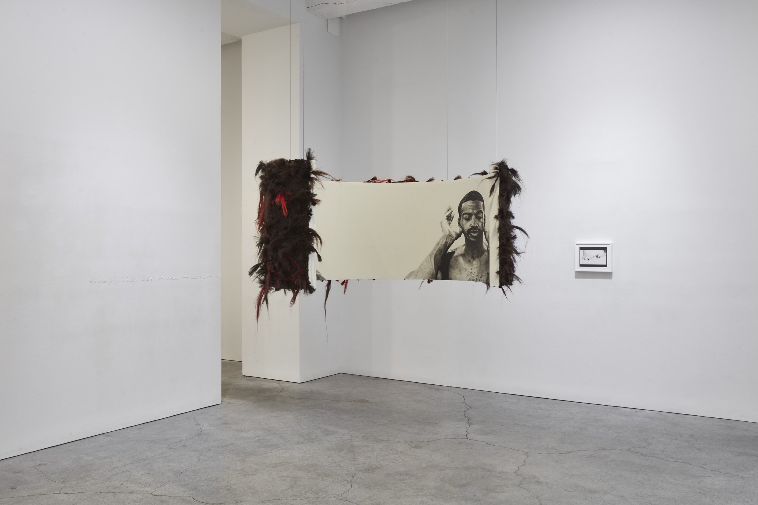 Peacock installation view SMJ 09-2026_07.jpg
