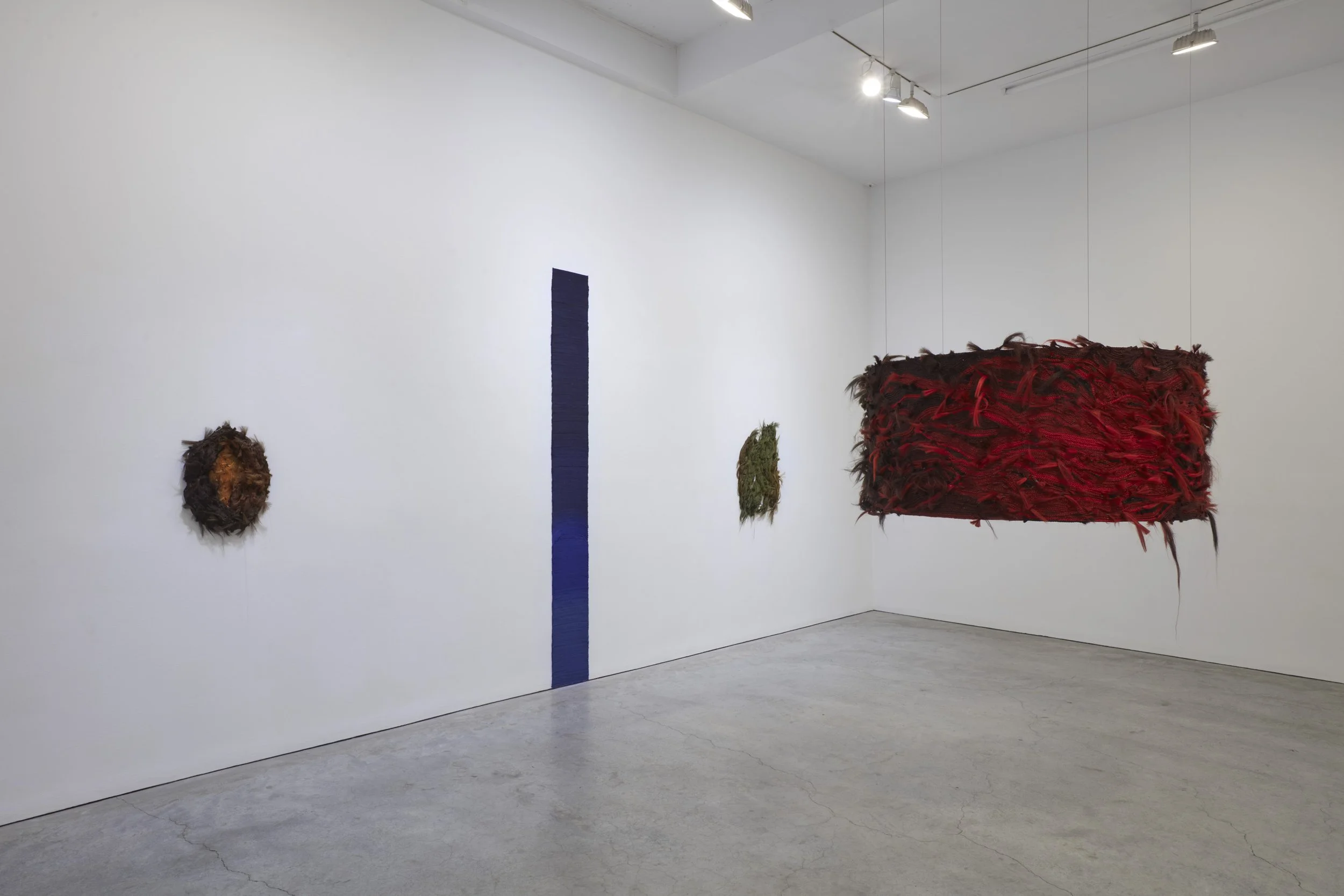 Peacock installation view SMJ 09-2026_04.jpg