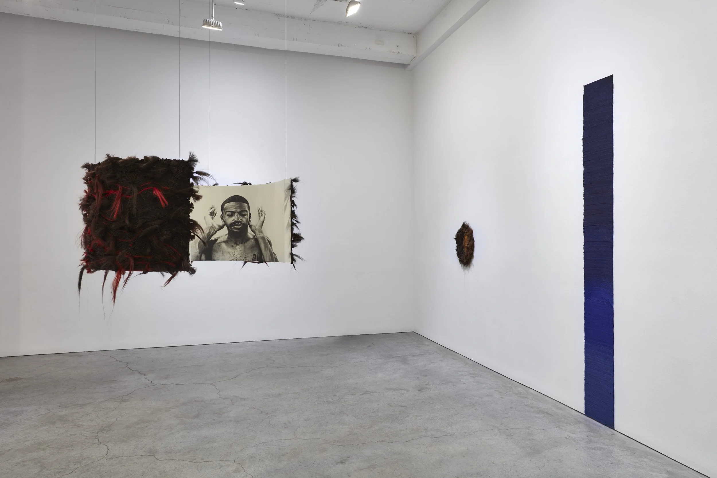 Peacock installation view SMJ 09-2026_09.jpg