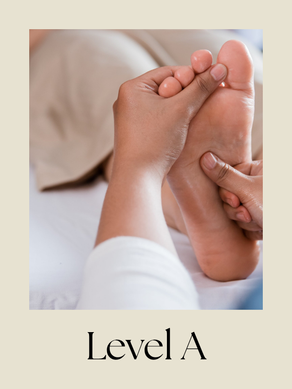 Reflexology - Anatomy