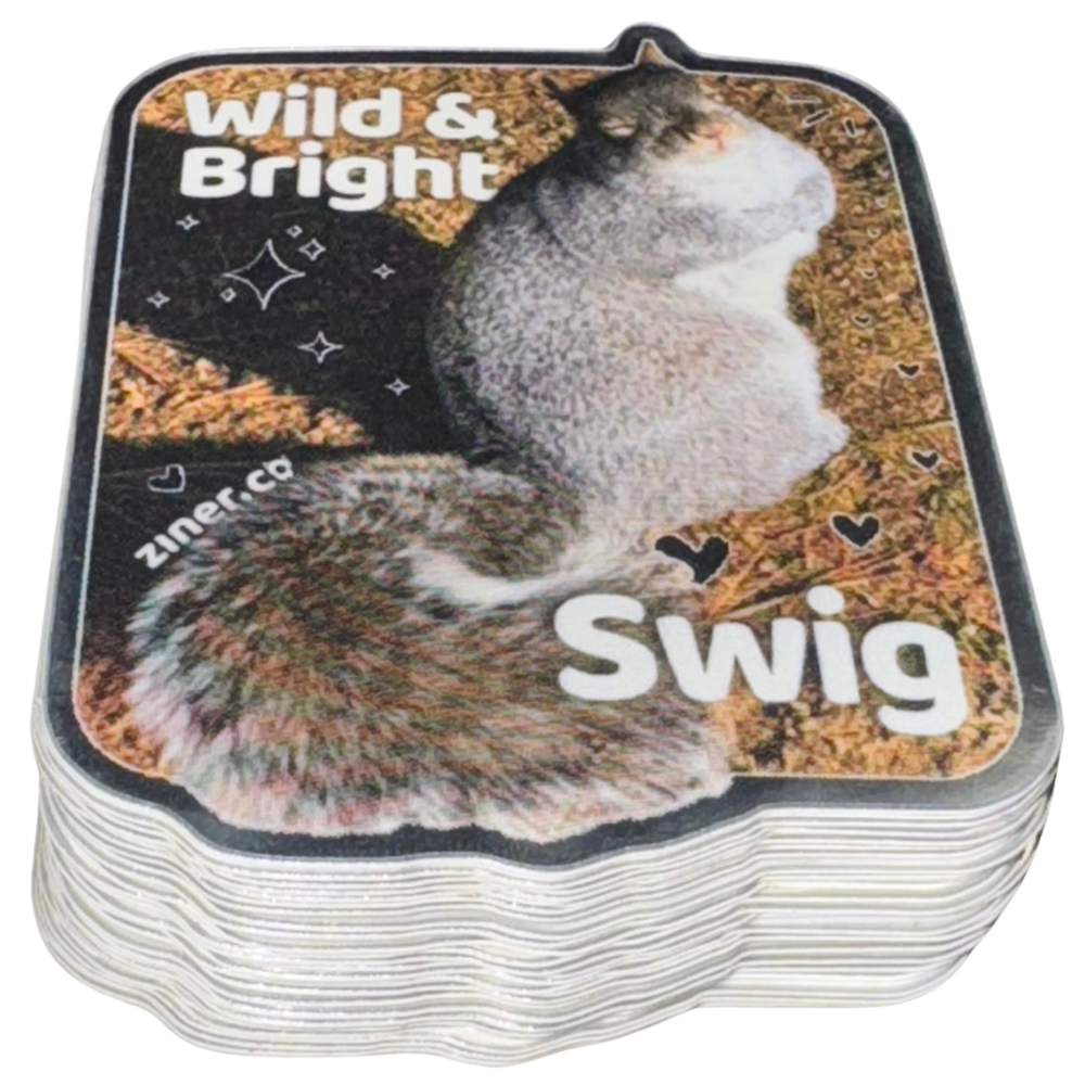 Prism Paws - Prismatic Boxing Squirrel Sticker — ziner.co