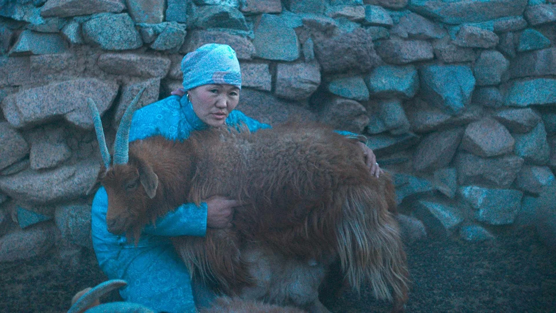 The Wolves Always Come at Night