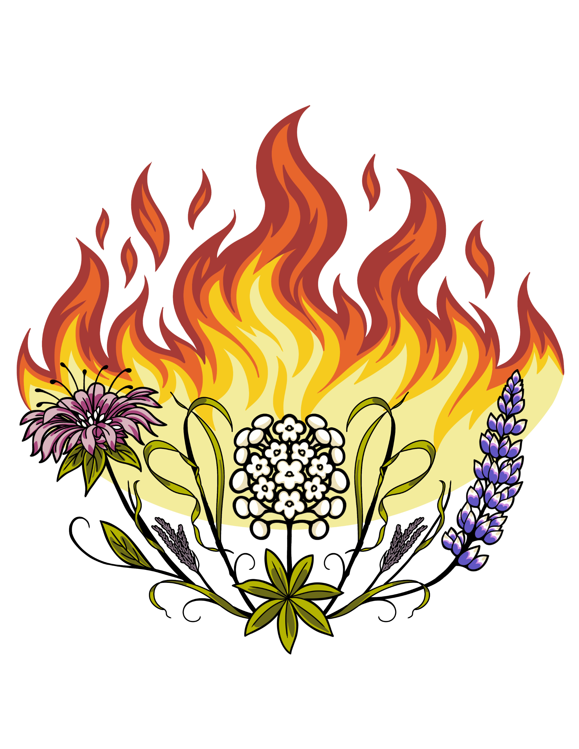 Pemidashkode Logo for Alderville Black Oak Savanna 2026 Koren Smoke