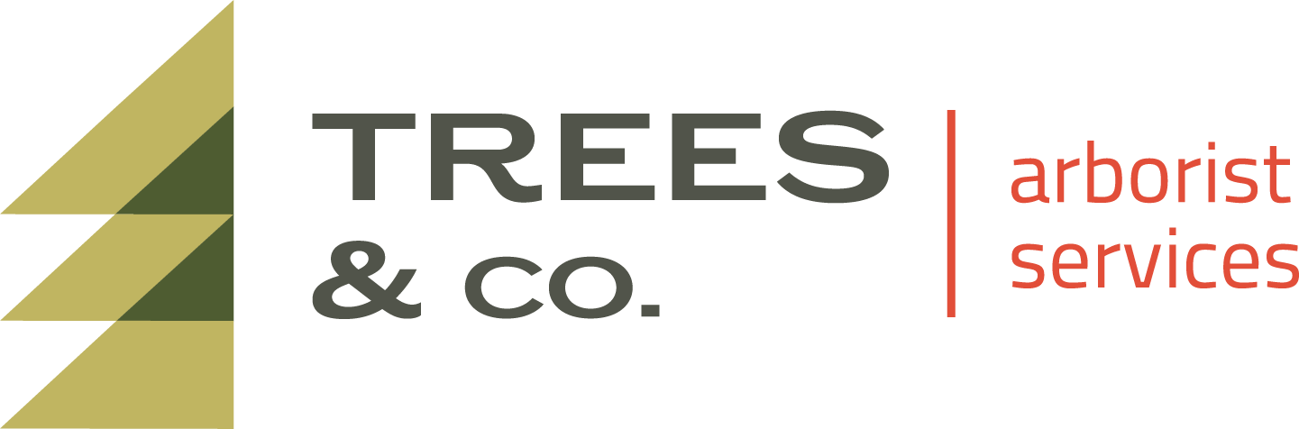 Trees &amp; Company Arborist Services