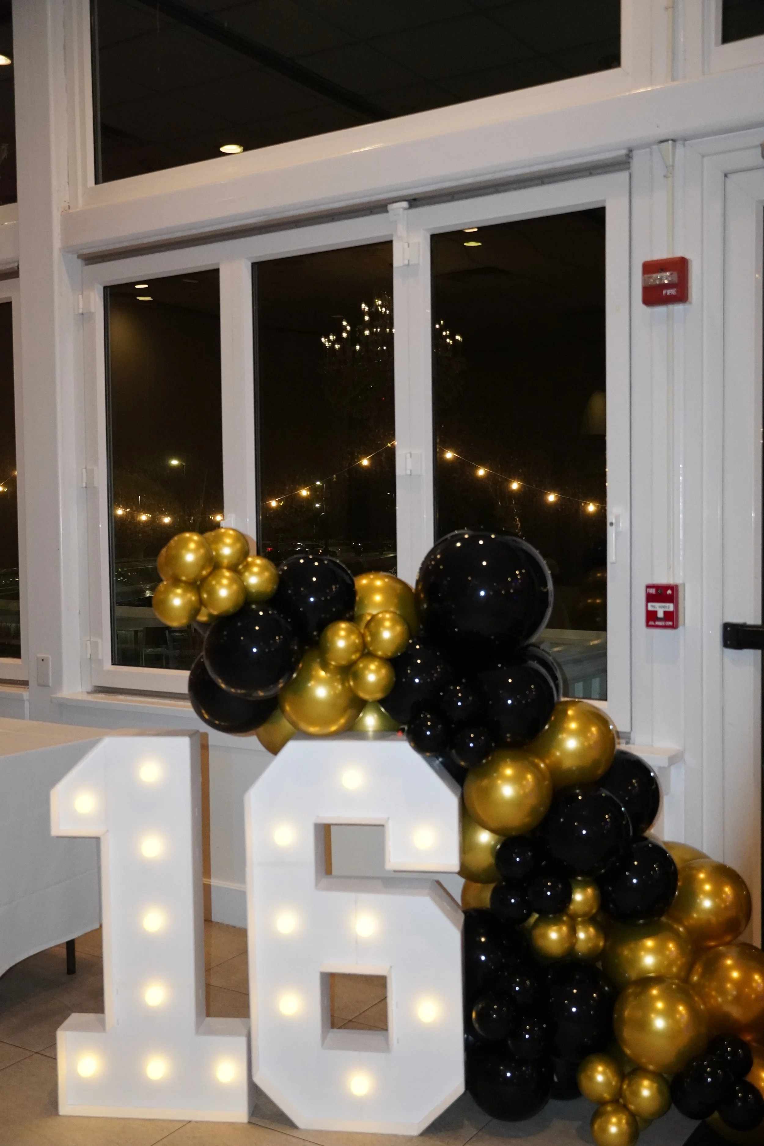 Photo Jan 27 2019, 8 49 17 AM.jpg