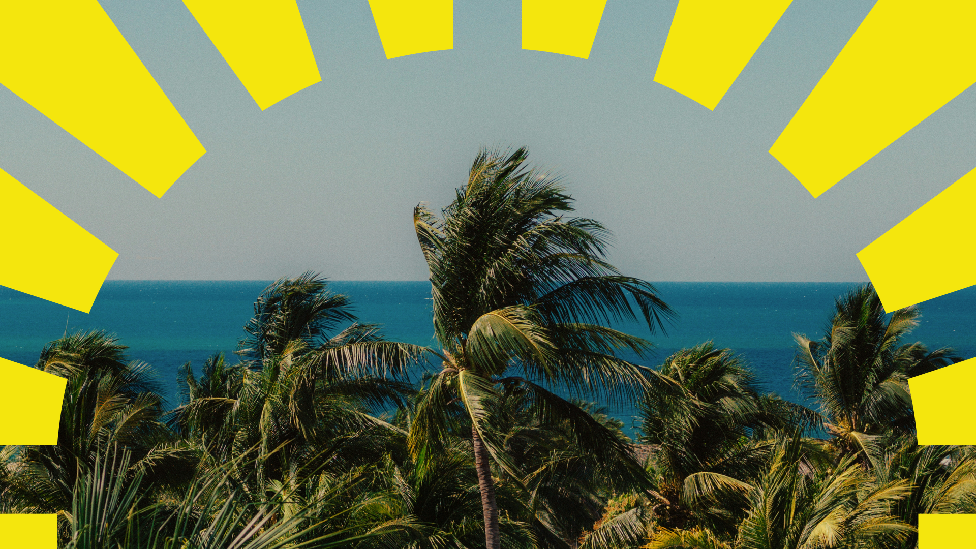 Electric Island Melbourne 2026 Event. Palm trees on a tropical beach with an ocean in the background, overlaid with yellow sunburst pattern.