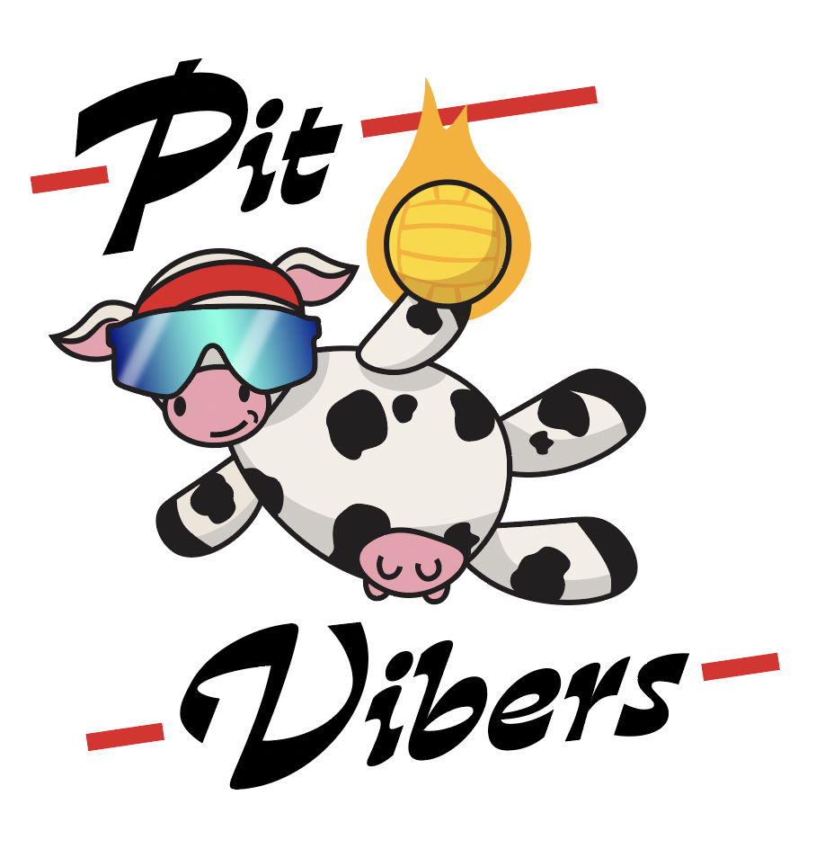 Pit Vibers Spikeball Jerseys