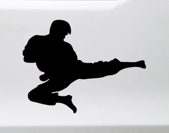Poomsae Taekwondo with Physical Therapy and Strength &amp; Conditioning