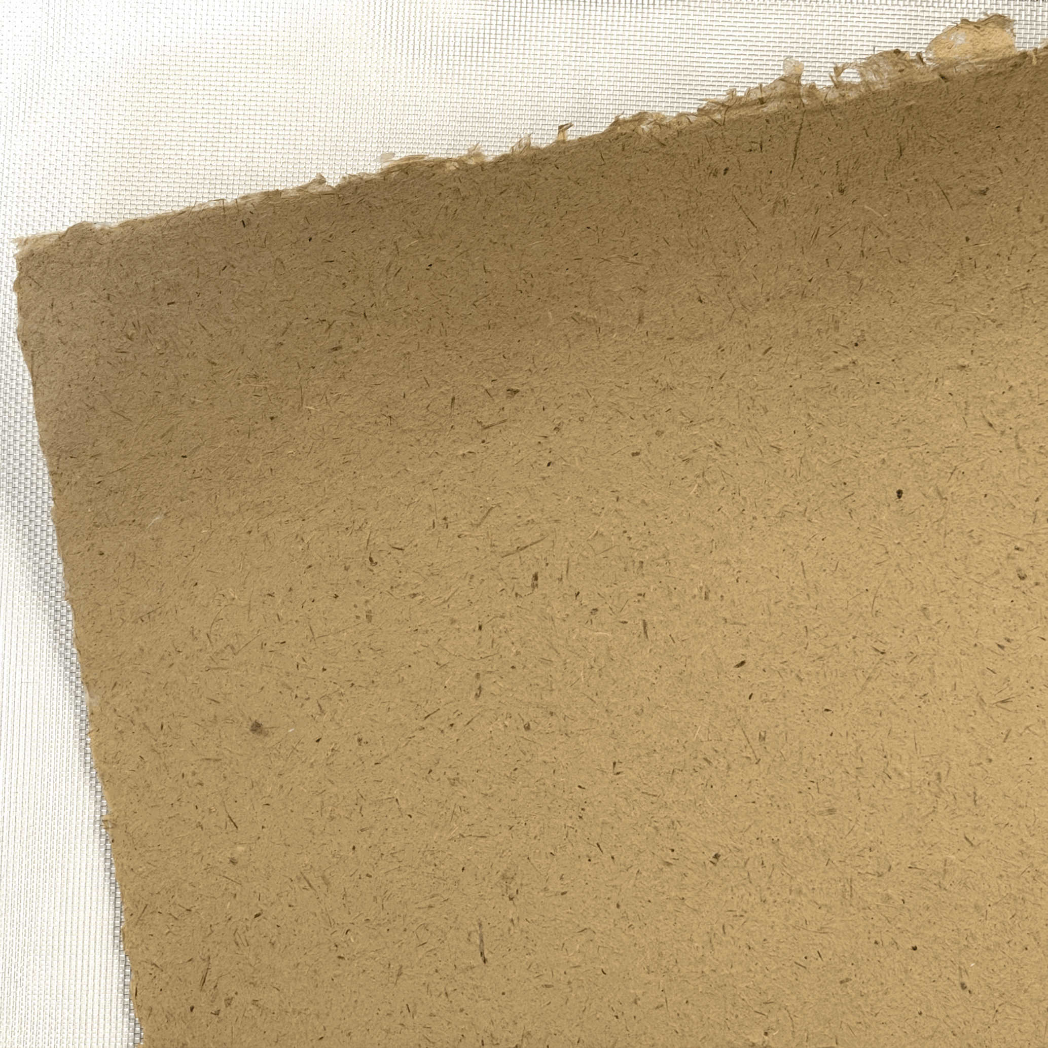 Rye Straw (34.5in x 38.5in)