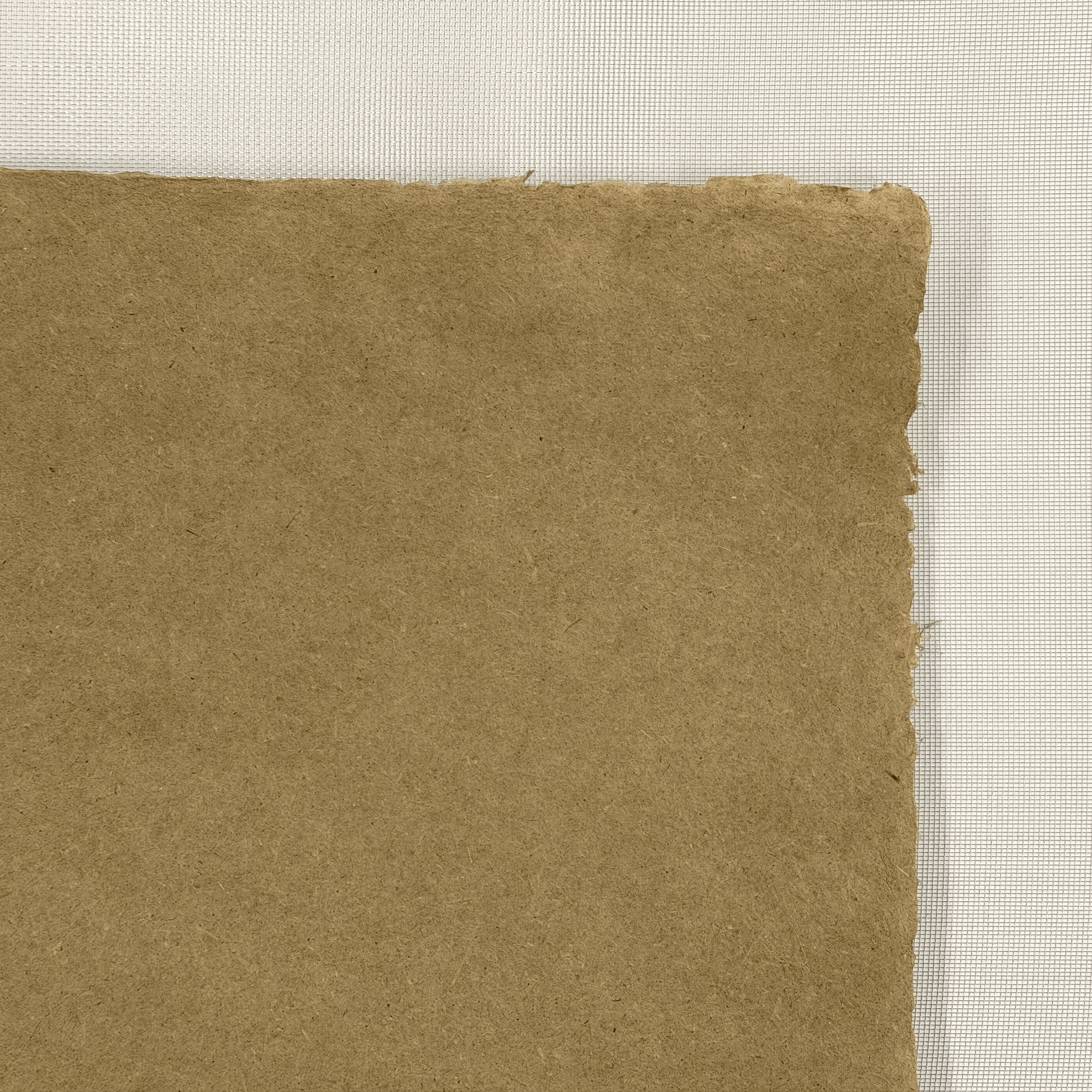 Wheat Straw (34.5in x 38.5in)