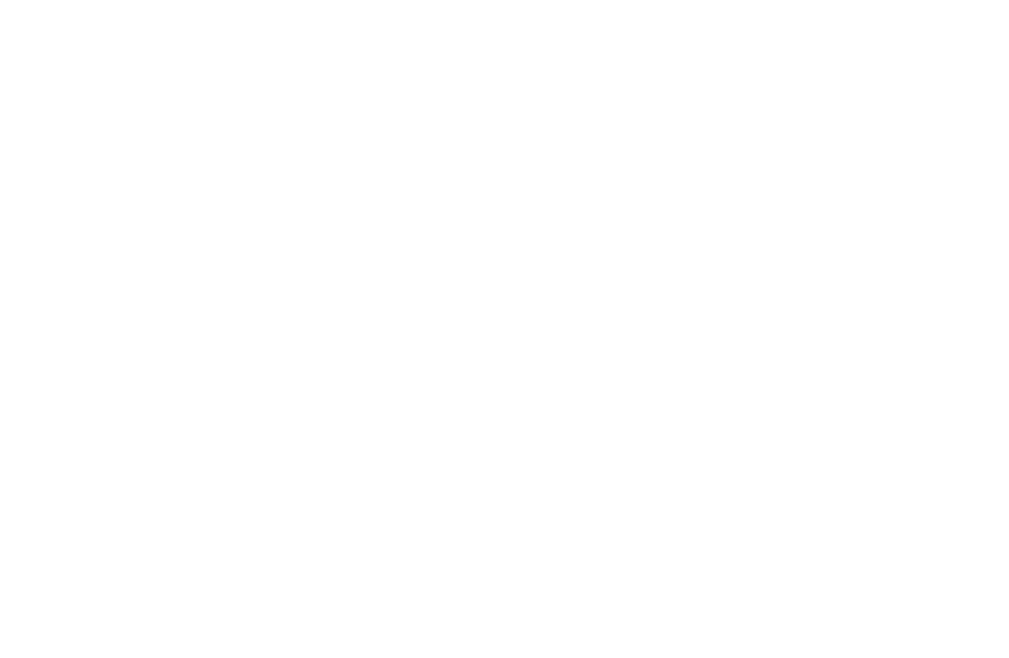 CHICAGO PULP