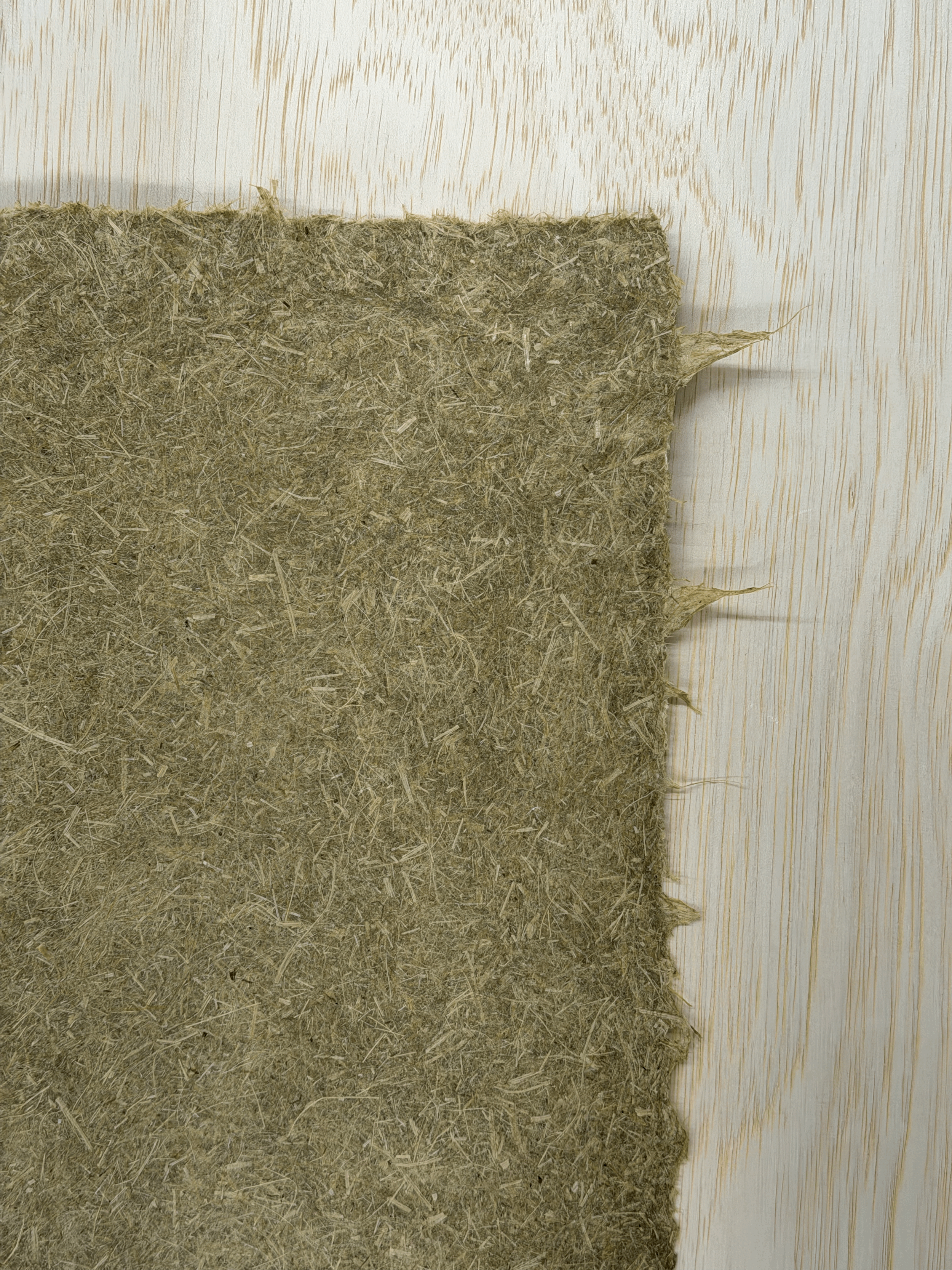 Indiana Hay (12in x 18in)