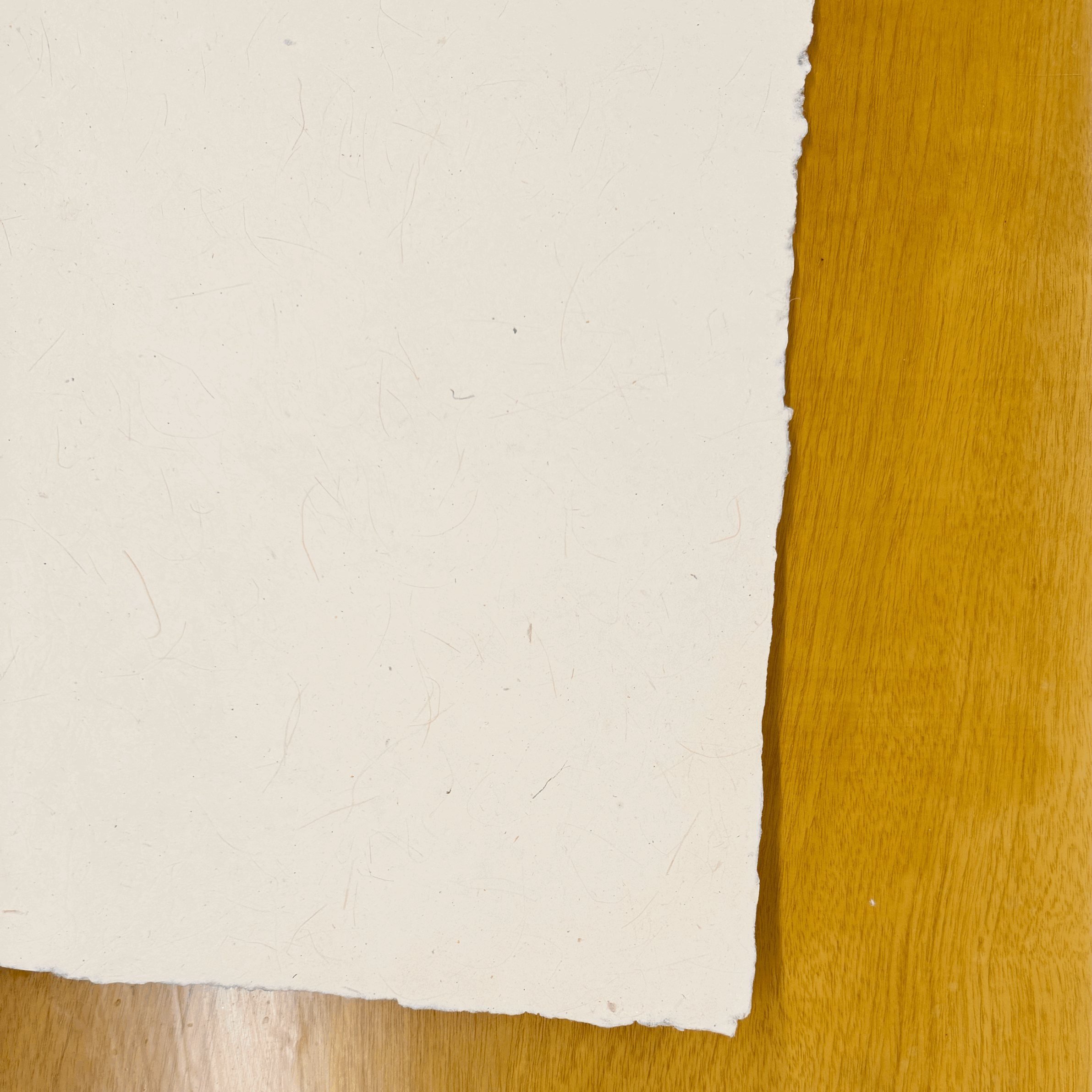 Sisal (16in x 20in)