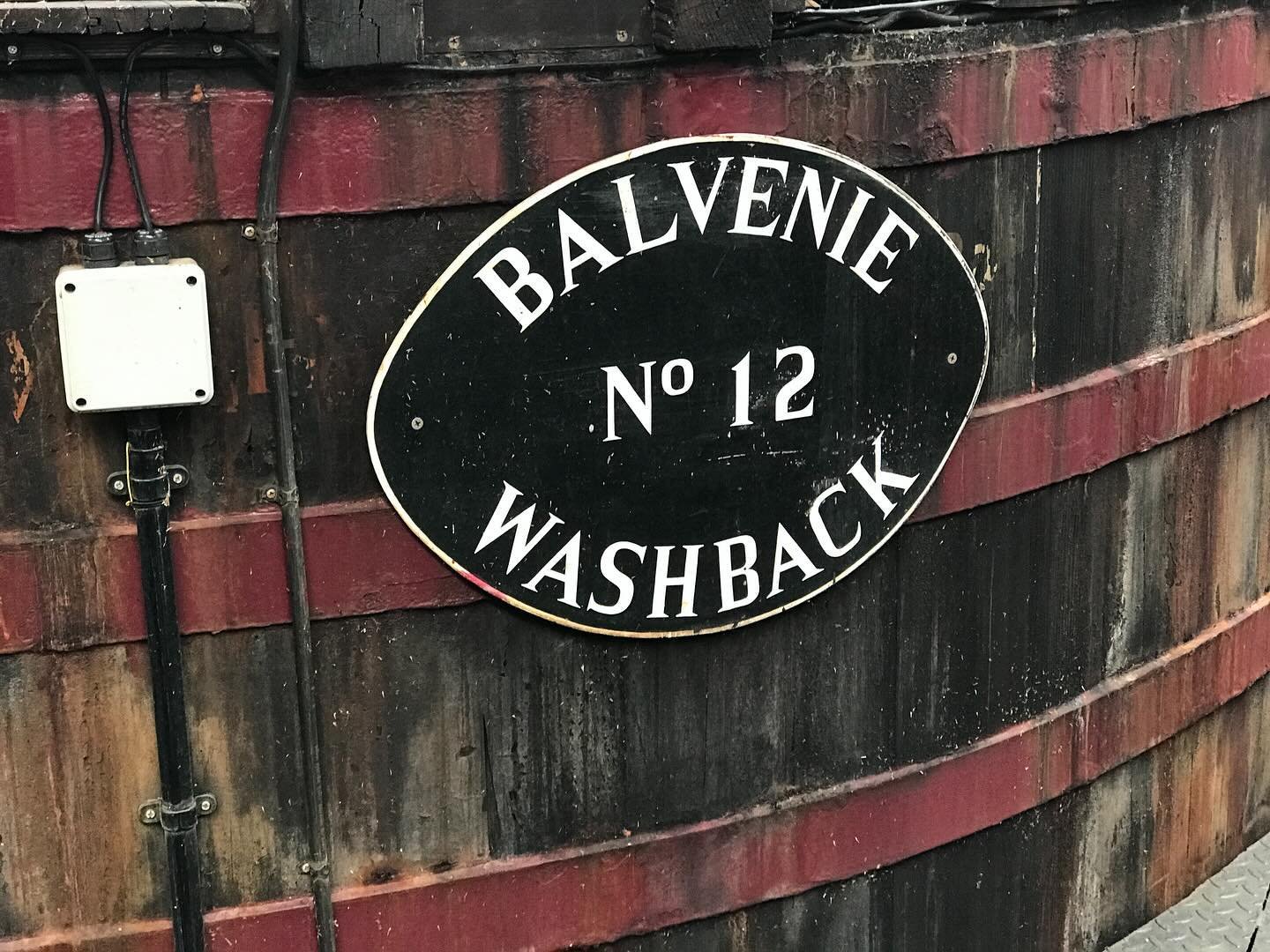 Washbacks are used for fermentation and essentially produce a barley beer that once completed is sent out for distillation, becoming Scotch whisky.