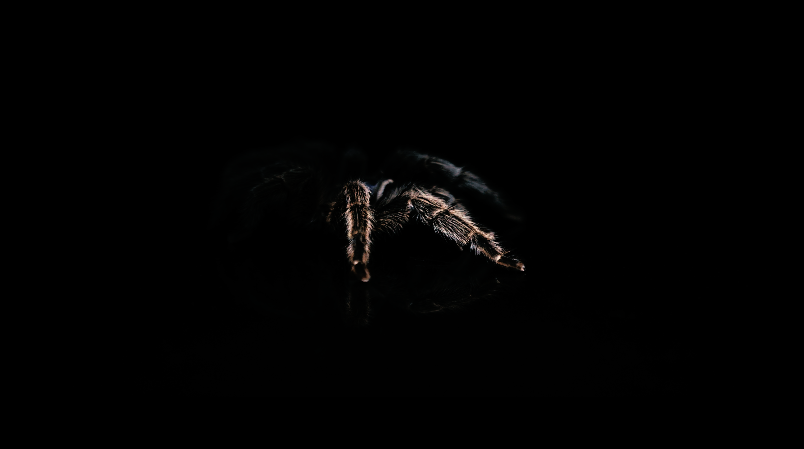 Screenshot 2025-03-02 202947.png