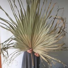 large_palms.jpg