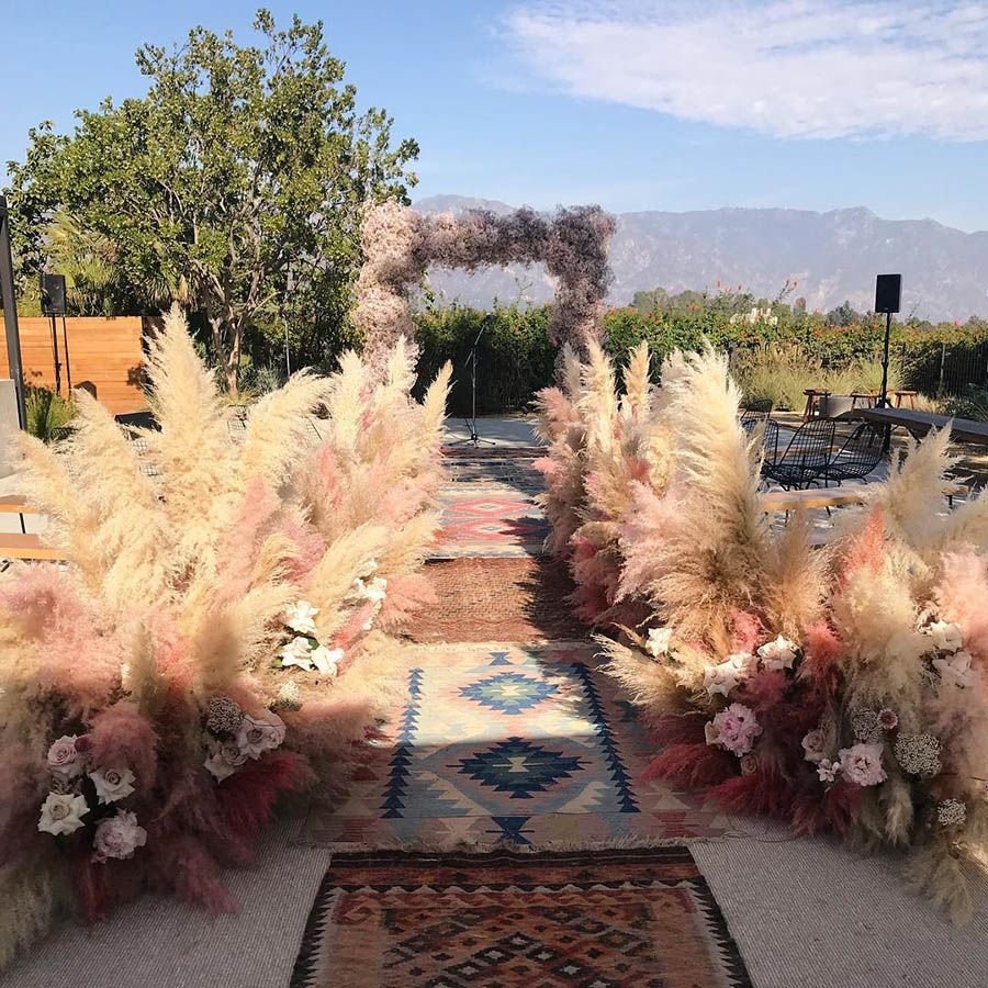 Tall Pampas Grass.jpg