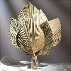 palm_leaves.jpg