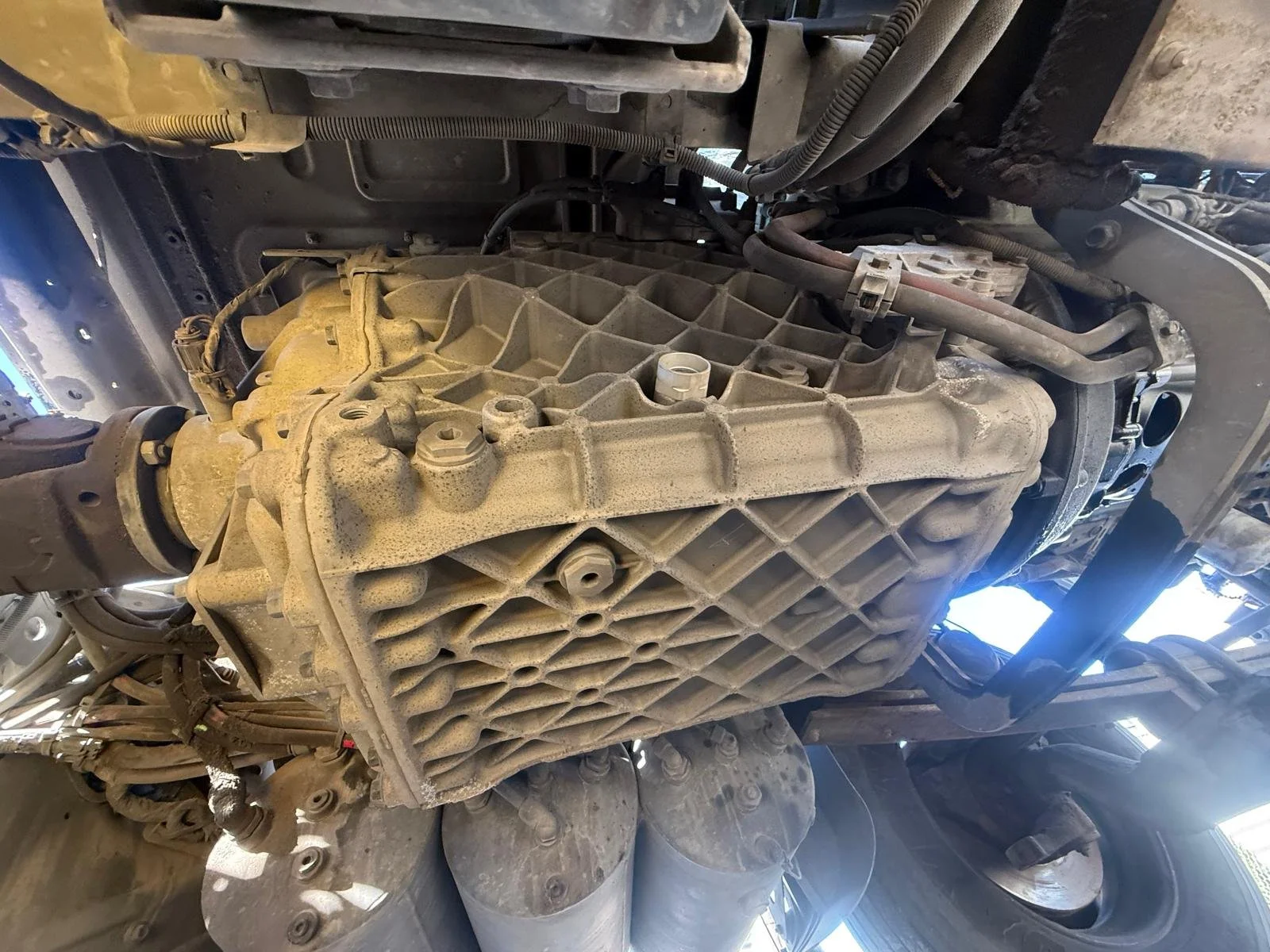 WhatsApp Image 2026-02-24 at 10.50.21 AM (3).jpeg