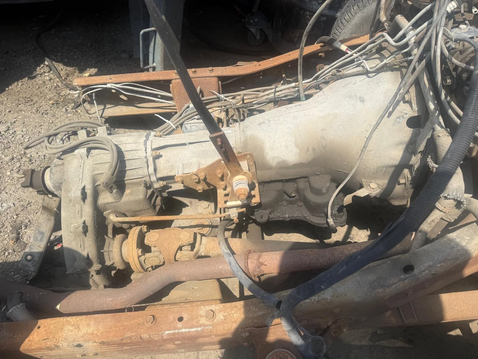 WhatsApp Image 2026-04-08 at 11.52.04 AM.jpeg