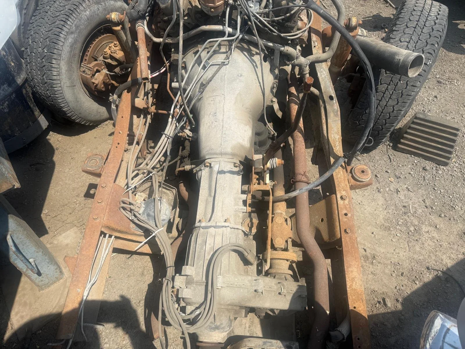 WhatsApp Image 2026-04-08 at 11.52.03 AM (3).jpeg