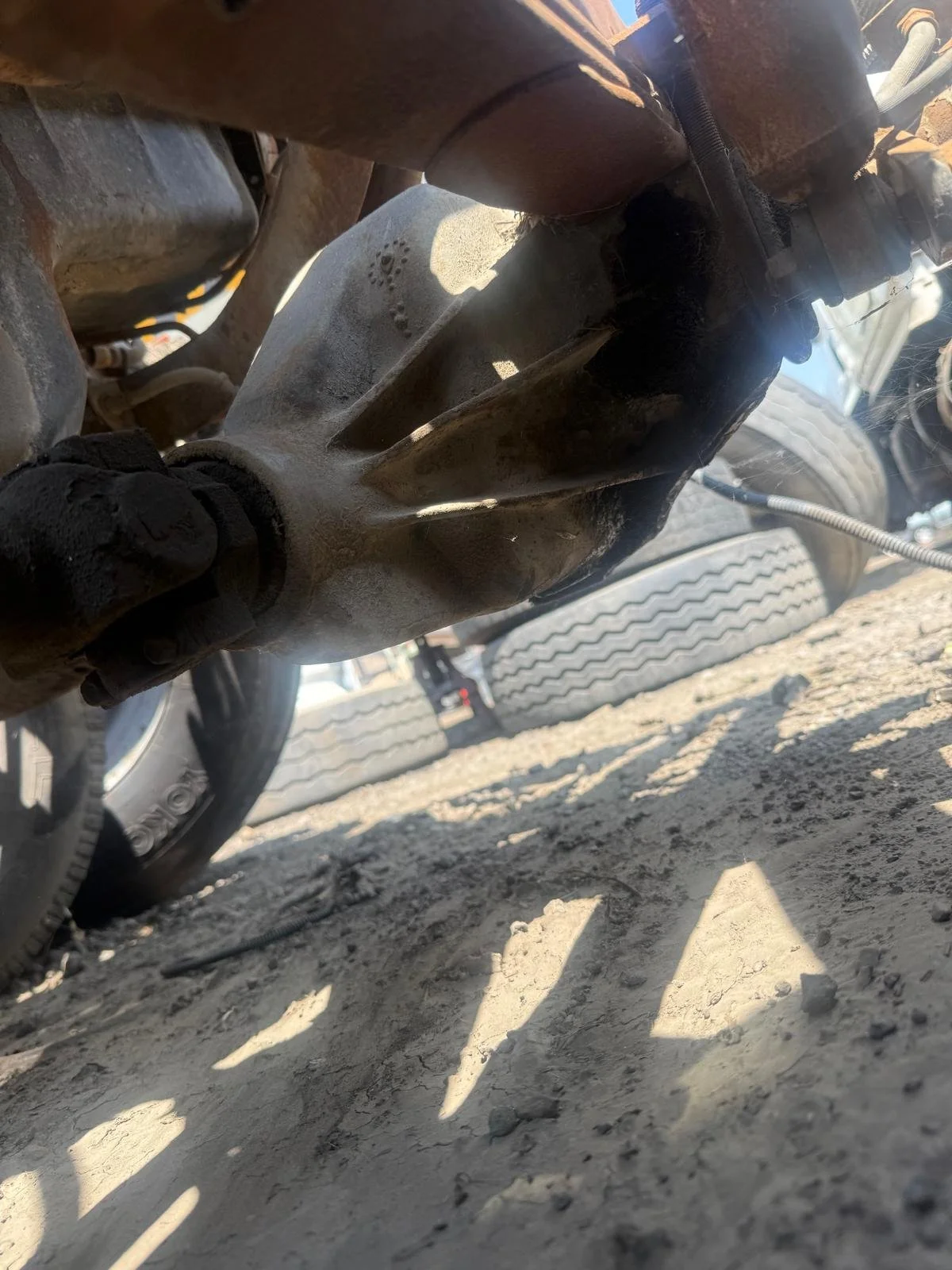 WhatsApp Image 2026-04-08 at 11.52.02 AM.jpeg