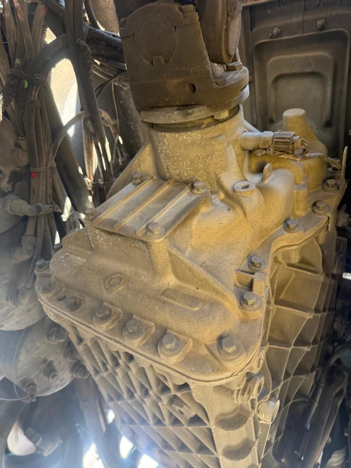 WhatsApp Image 2026-02-24 at 10.50.21 AM (2).jpeg