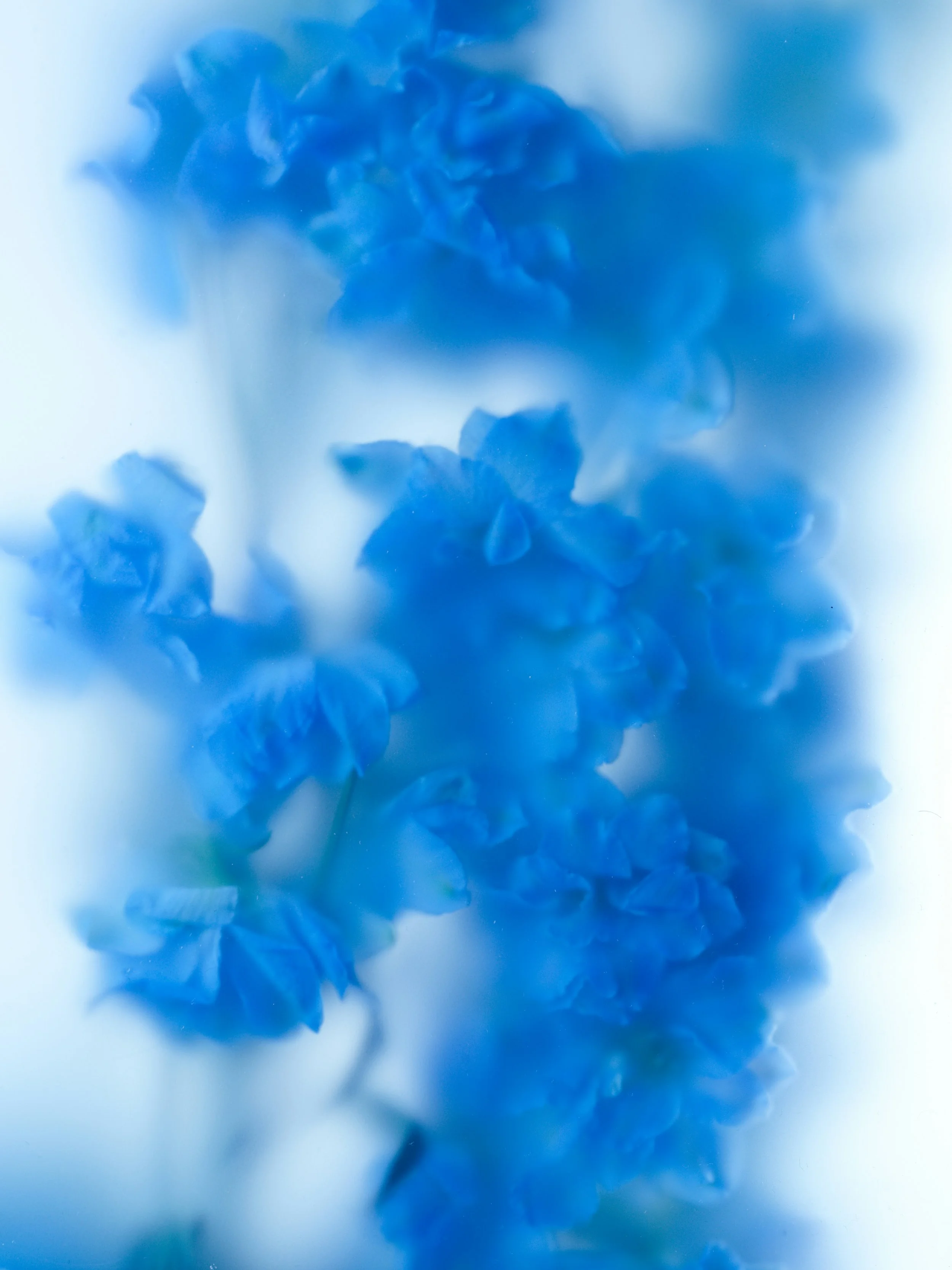 elsa-santacruz-romero-rBMyD78k8iY-unsplash(1).jpg