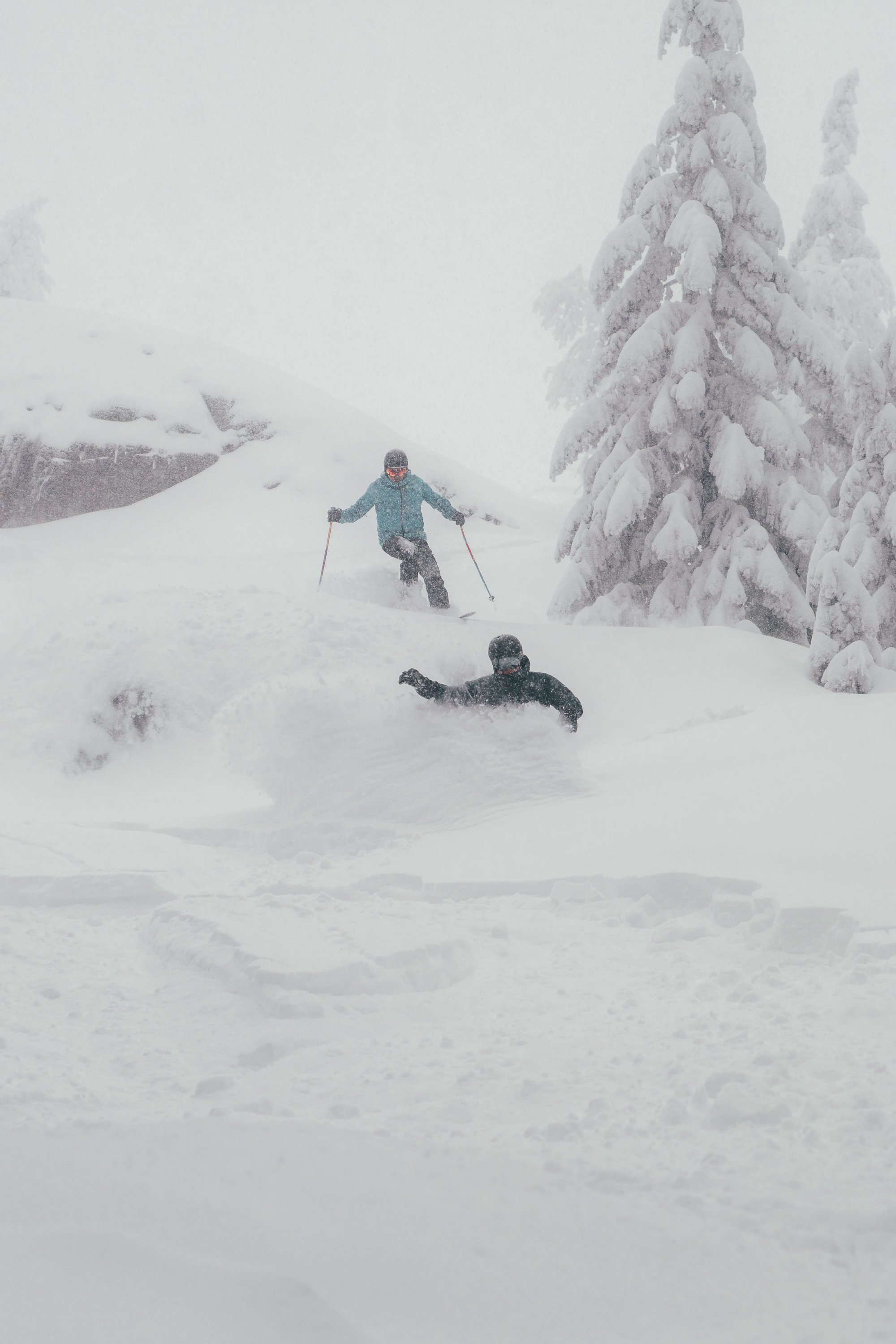 Two people skiing in a snowy, forested landscape during a snowstorm.