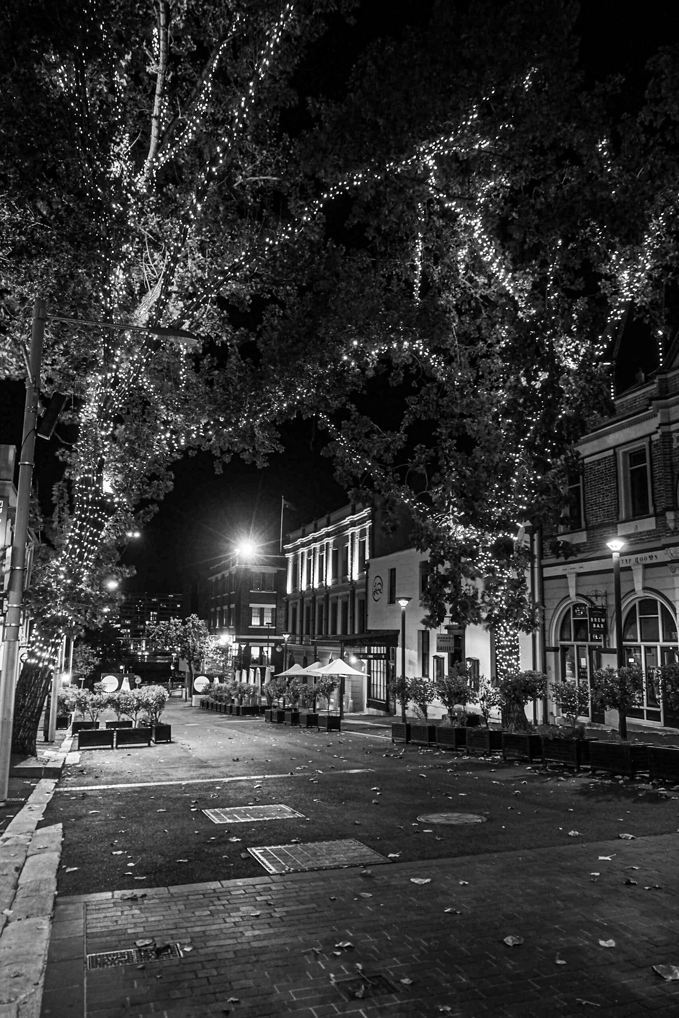 Corona_Sydney_2020-127.jpg