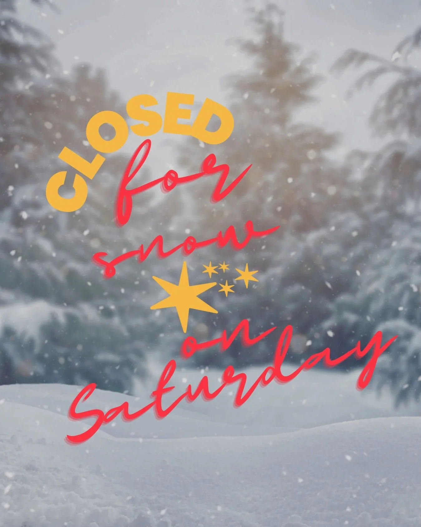 Seems like Saturday is going to be the snow day we&rsquo;ve all been waiting for! ❄️❄️❄️
If you still have an appointment on the books, your stylist will reach out! 

.
.
.
.
.
#velvetmonkeysalons #velvetmonkeyplaza #snowstorm2026 #okcsalons #plazadi