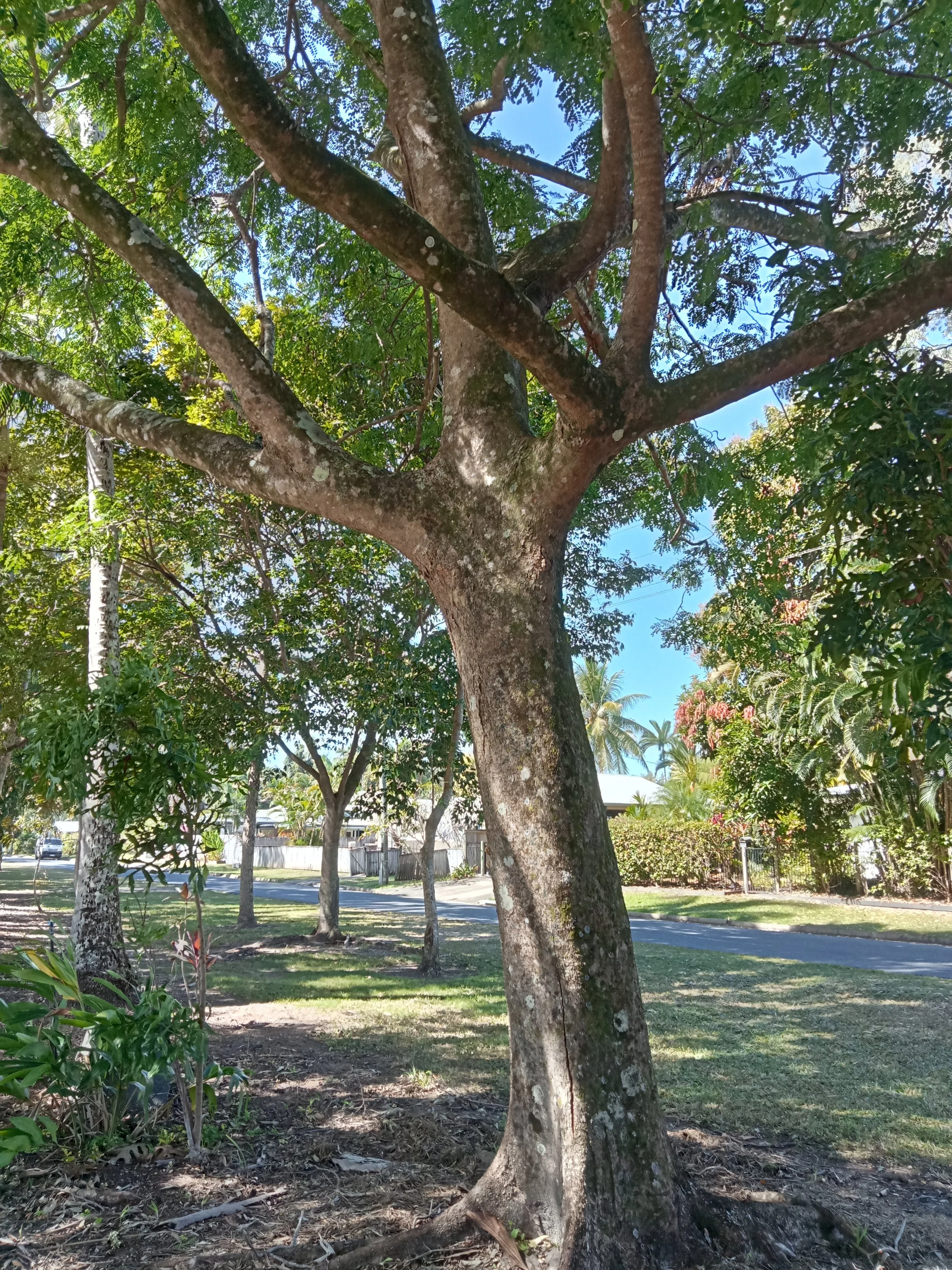 IMG20240726132545.jpg
