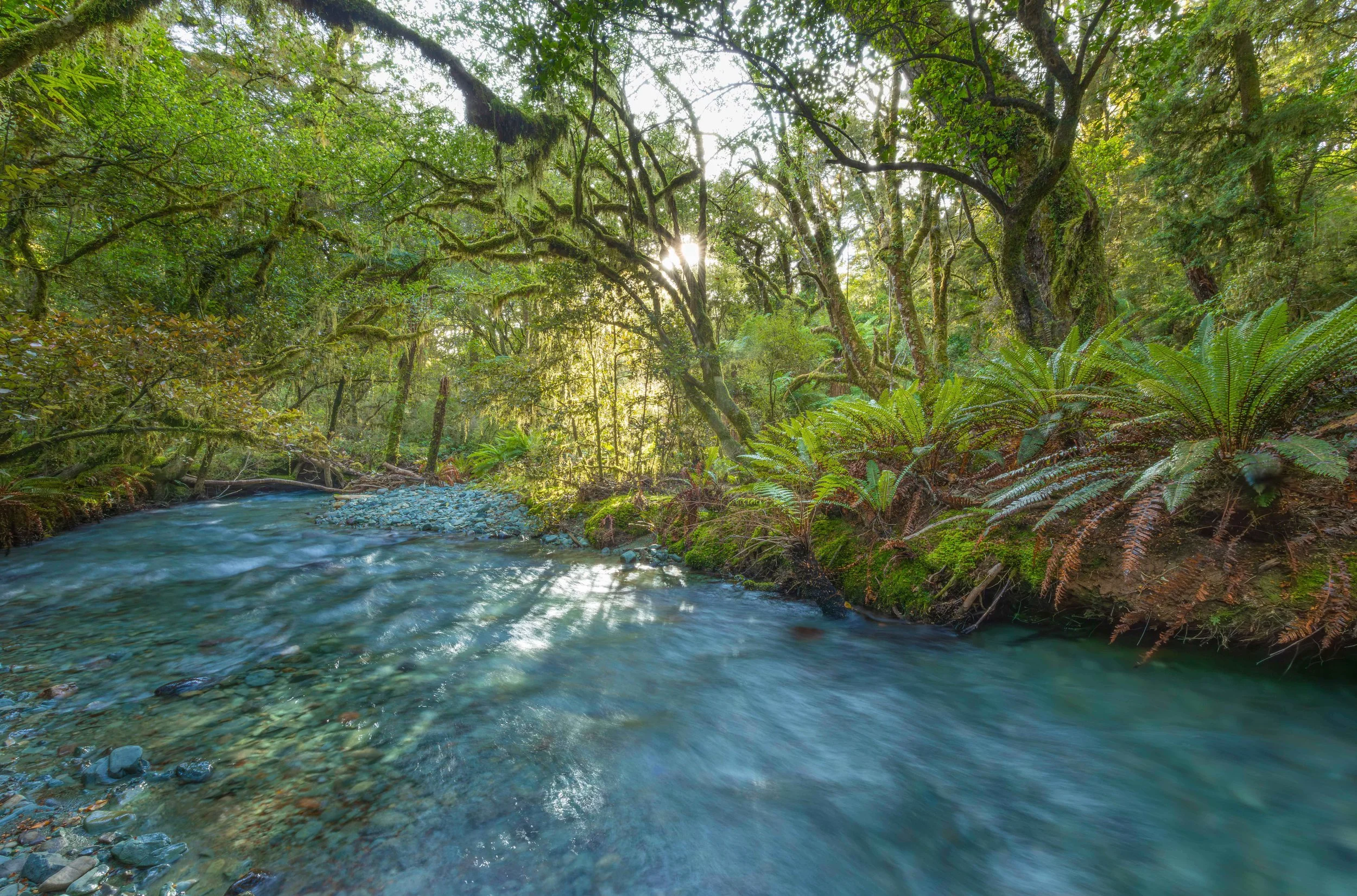 Day 3 - Devide Creek 3 web copy1.jpg