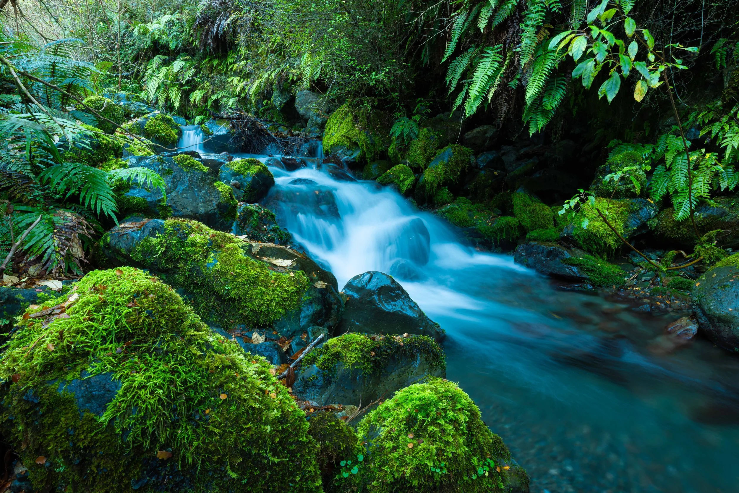 Day 4 - creek 4-e web copy.jpg