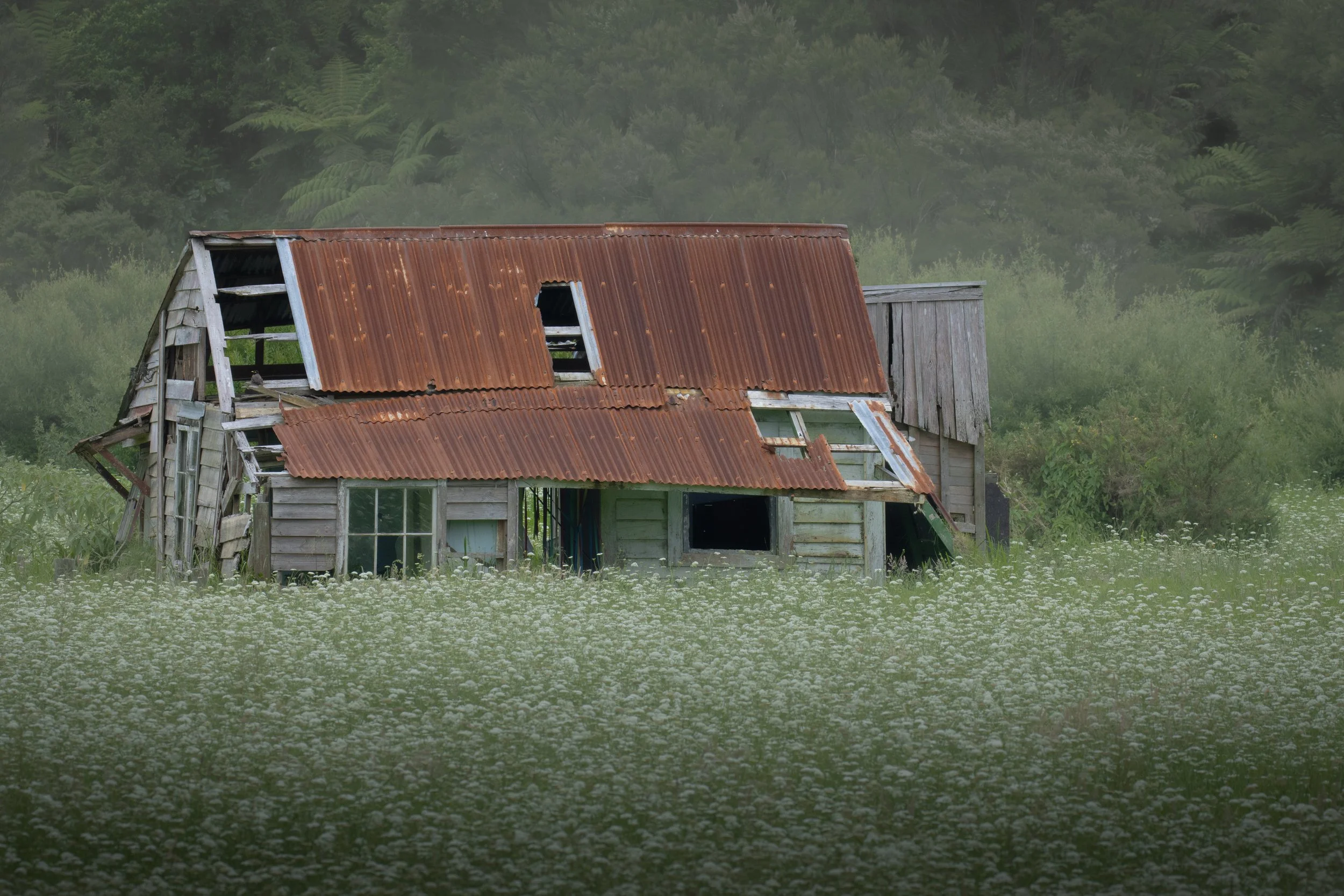 Abandoned Farmhouse, New Zealand 