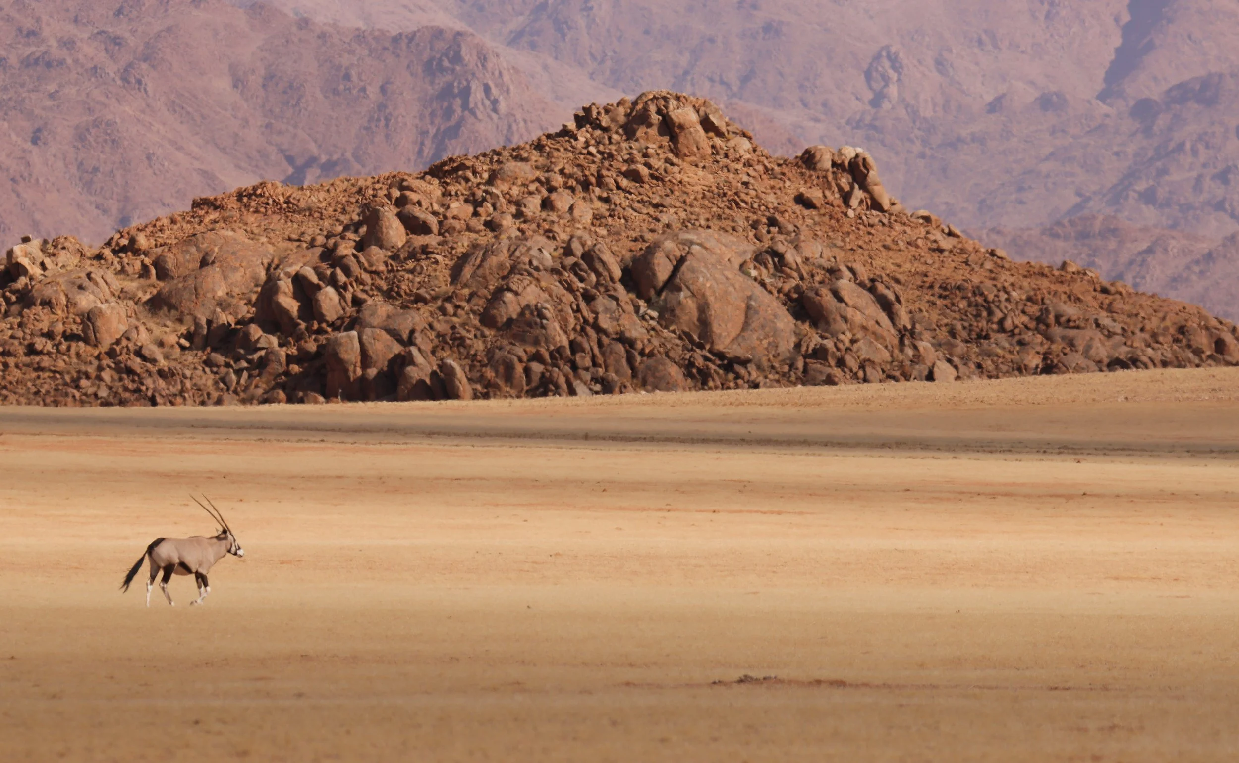 Upcoming Namibia Photographic Workshop June 2027