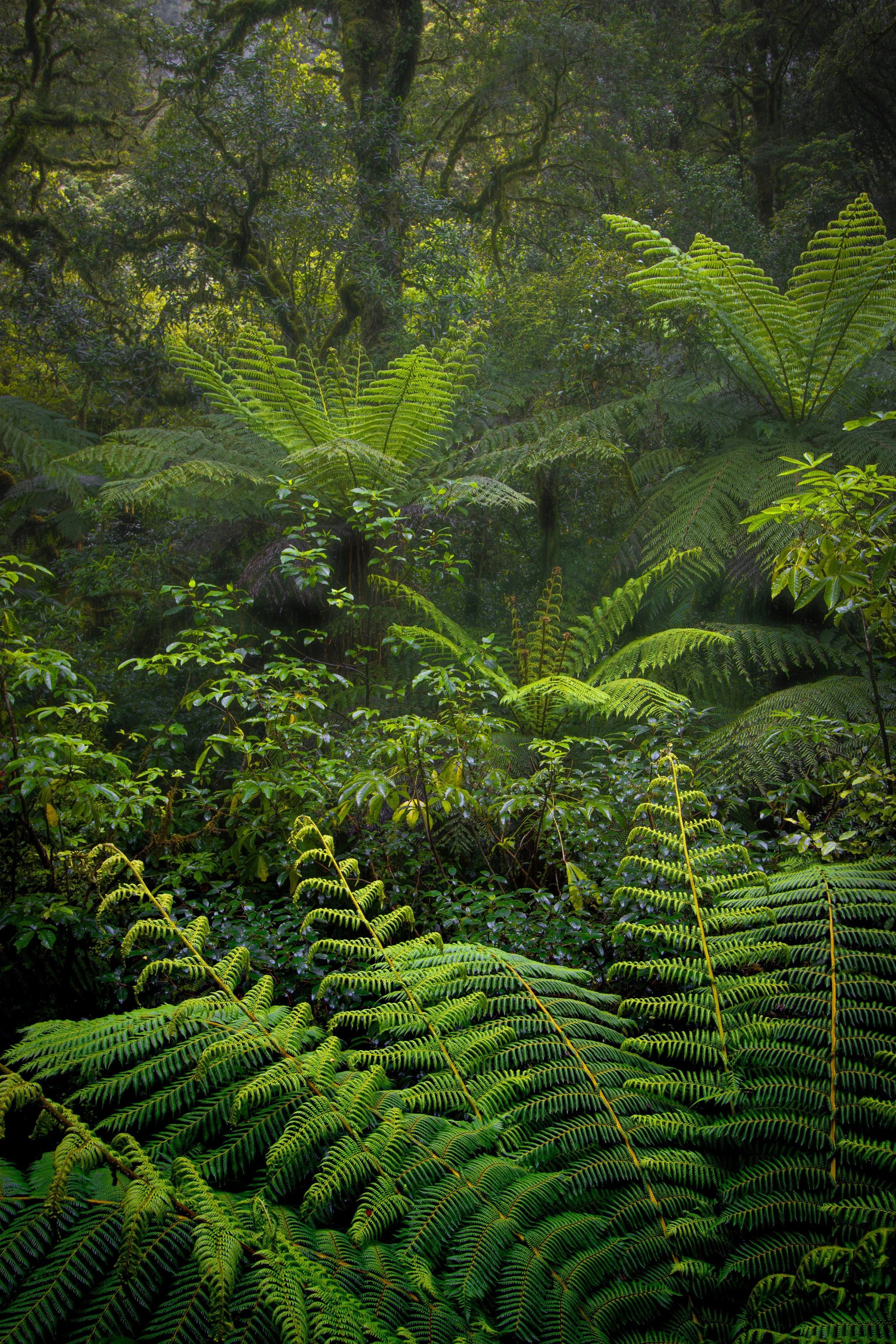 Upcoming New Zealand Photographic Holiday May 2027
