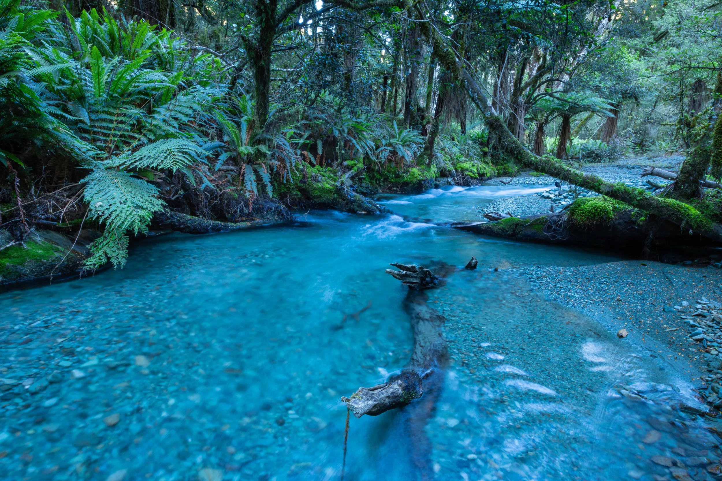 Devide Creek 5 web copy.jpg