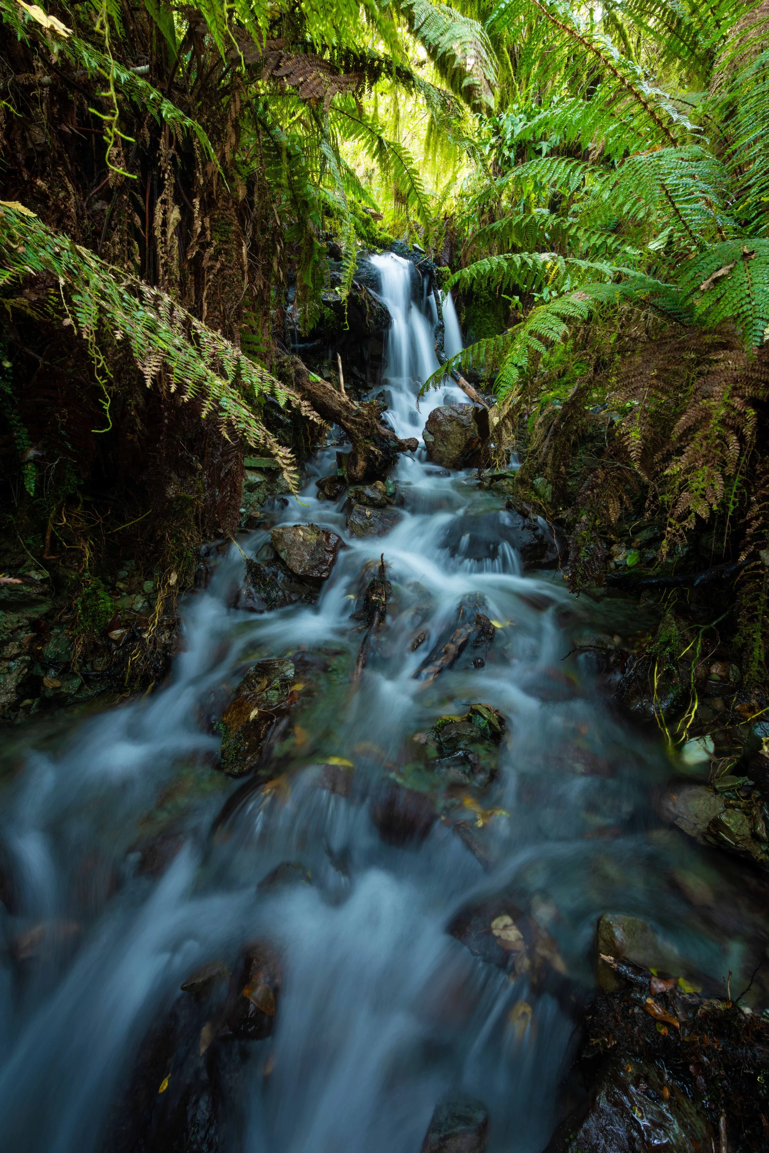 Day 4 - creek 2-c web copy.jpg