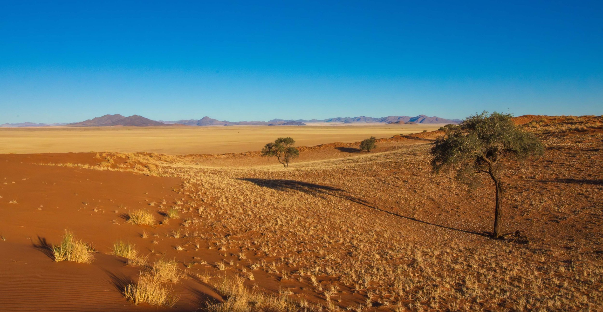 Deon van Rooyen-The Namib-NLPA webcopy.jpg