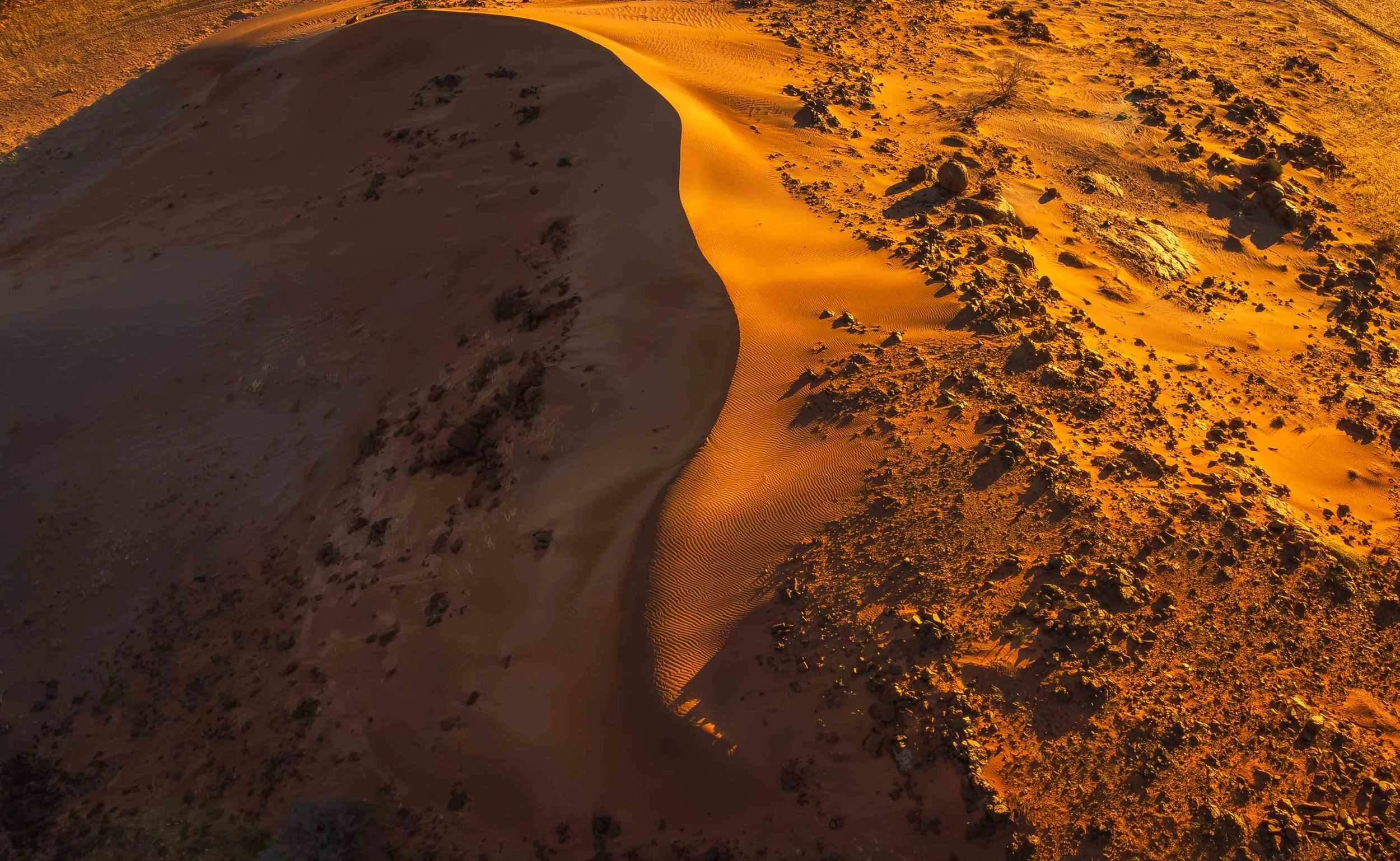 from above dune web copy.jpg