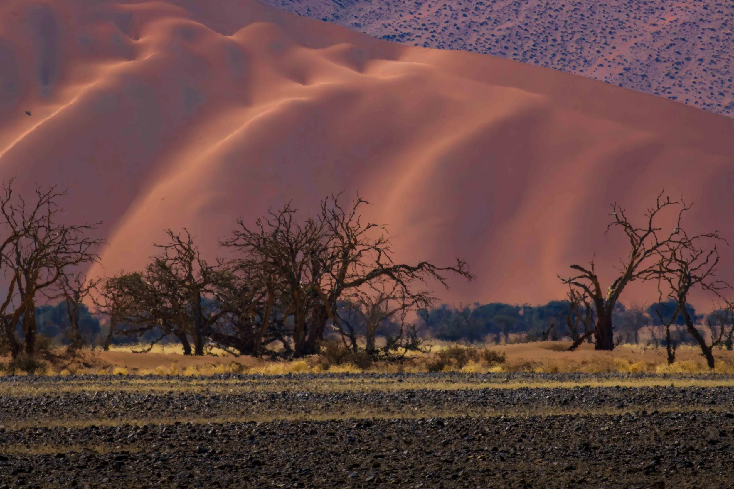 hazy landscape Nam3 webcopy.jpg