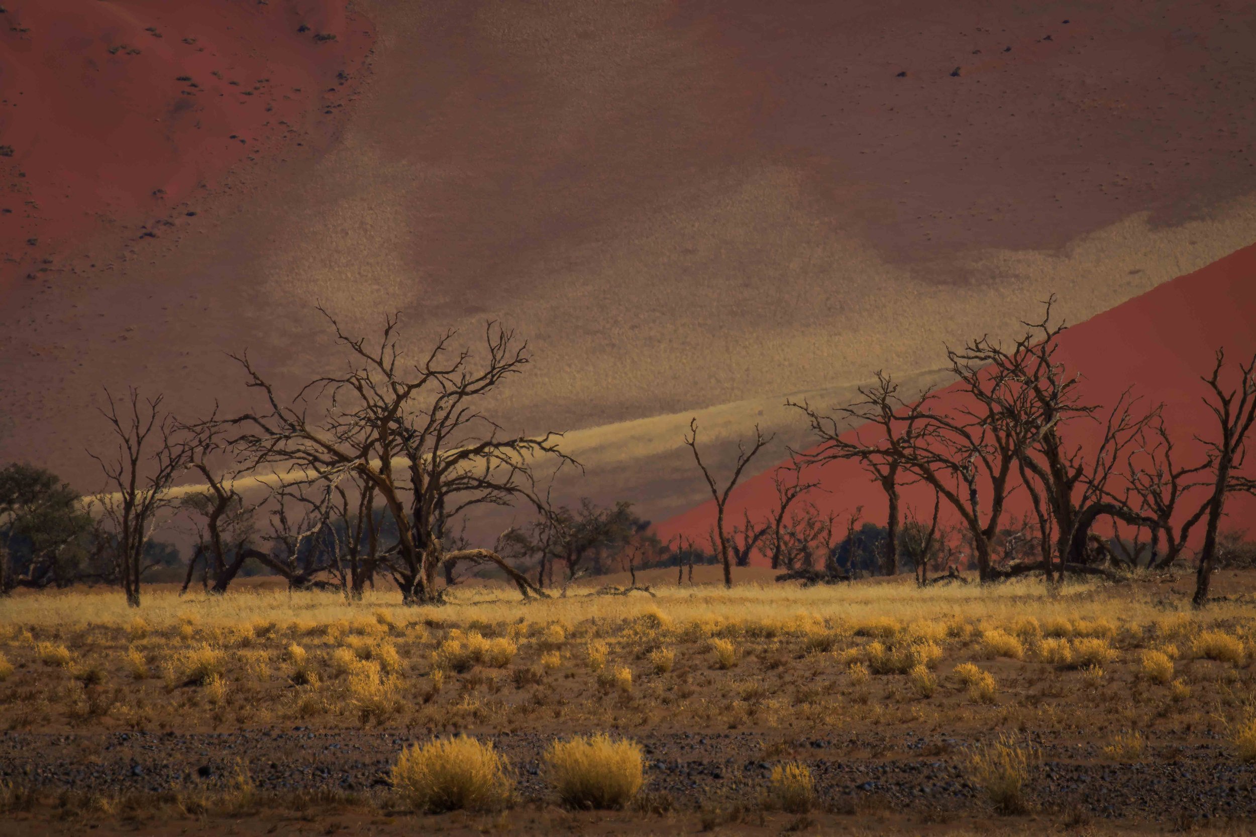landscape 21a webcopy.jpg