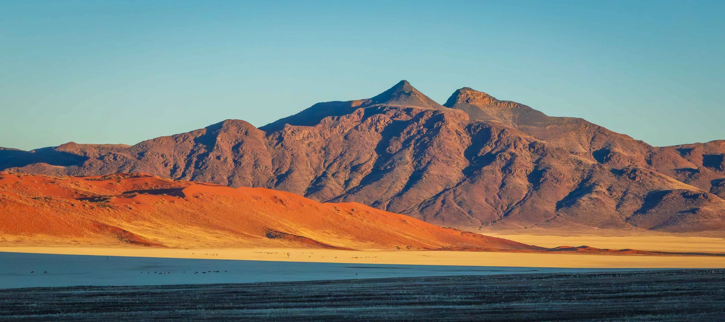 roadside landscape webcopy.jpg